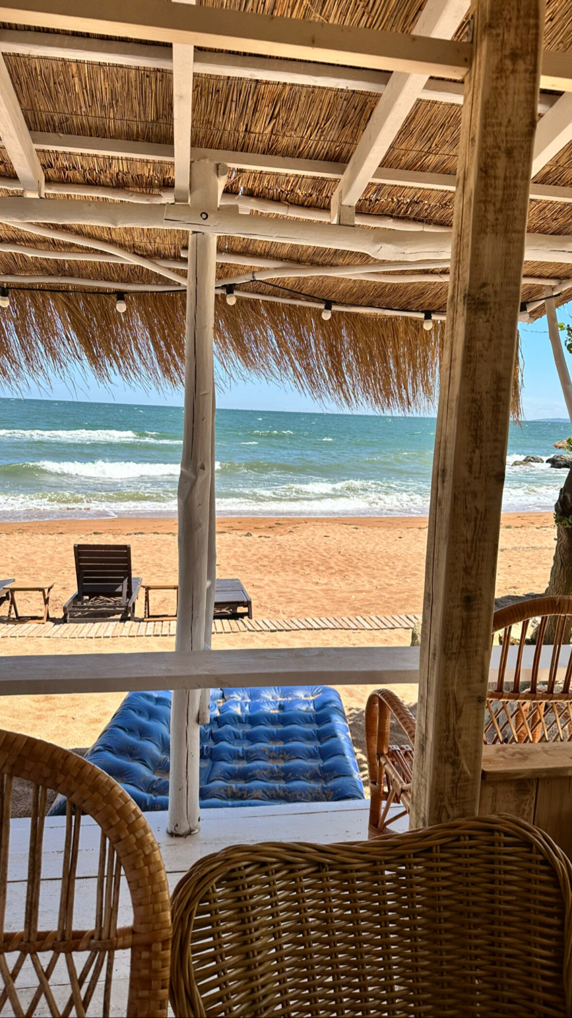 Фото Moreya eco bungalow