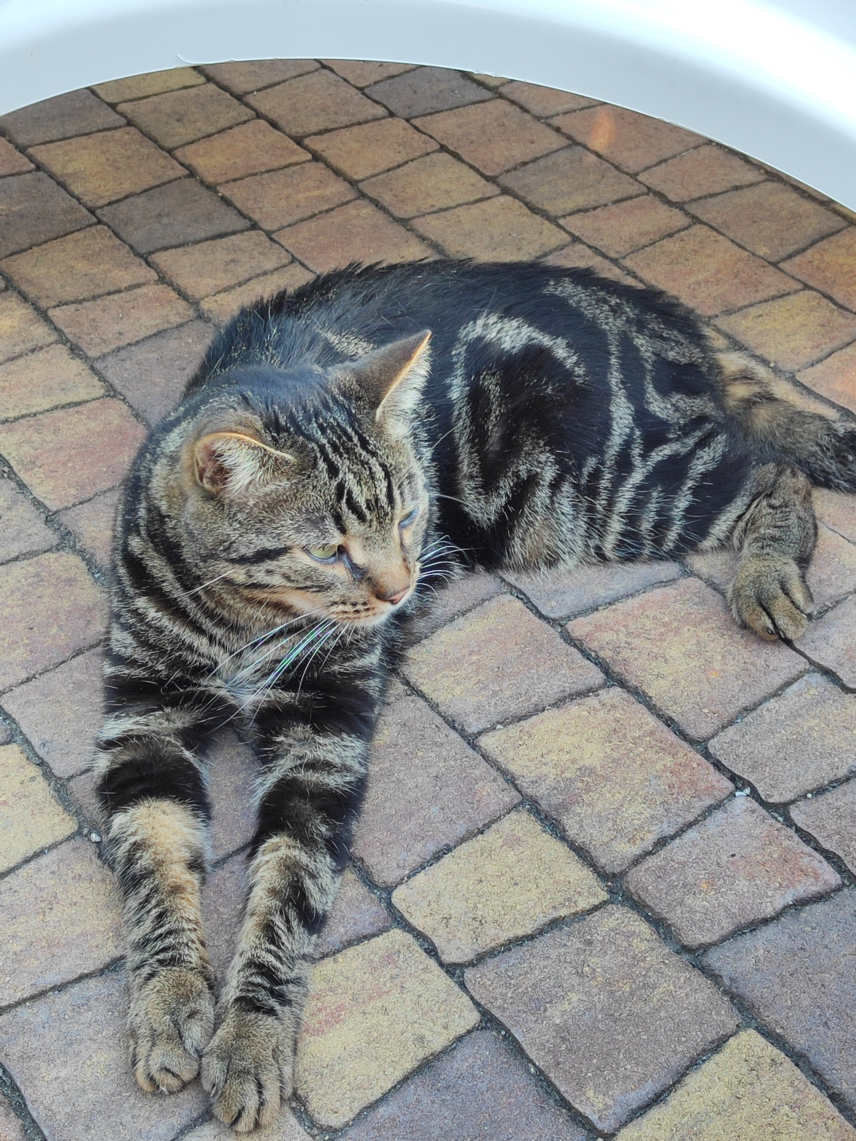 Фото Бархатный сезон