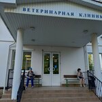 Veterinarnaya klinika dlya Melkikh Domashnikh Zhivotnykh Doktor Vet (Lunacharskogo Street, 60А), veterinary clinic