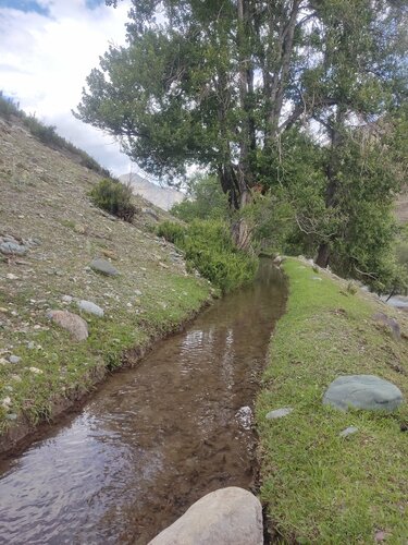 Ерлер мен ұлдар арасындағы өрескел секс