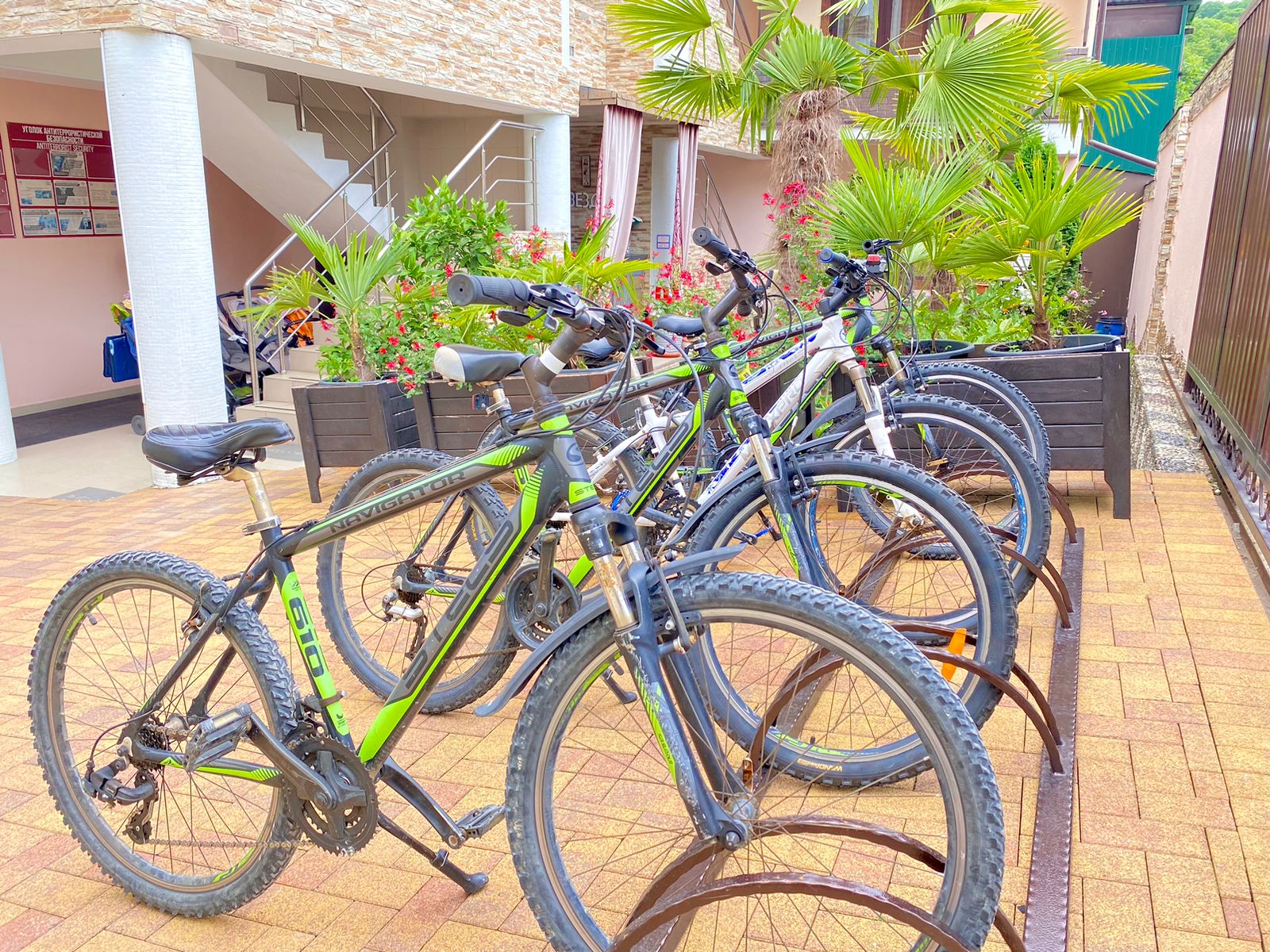 Фото Созвездие