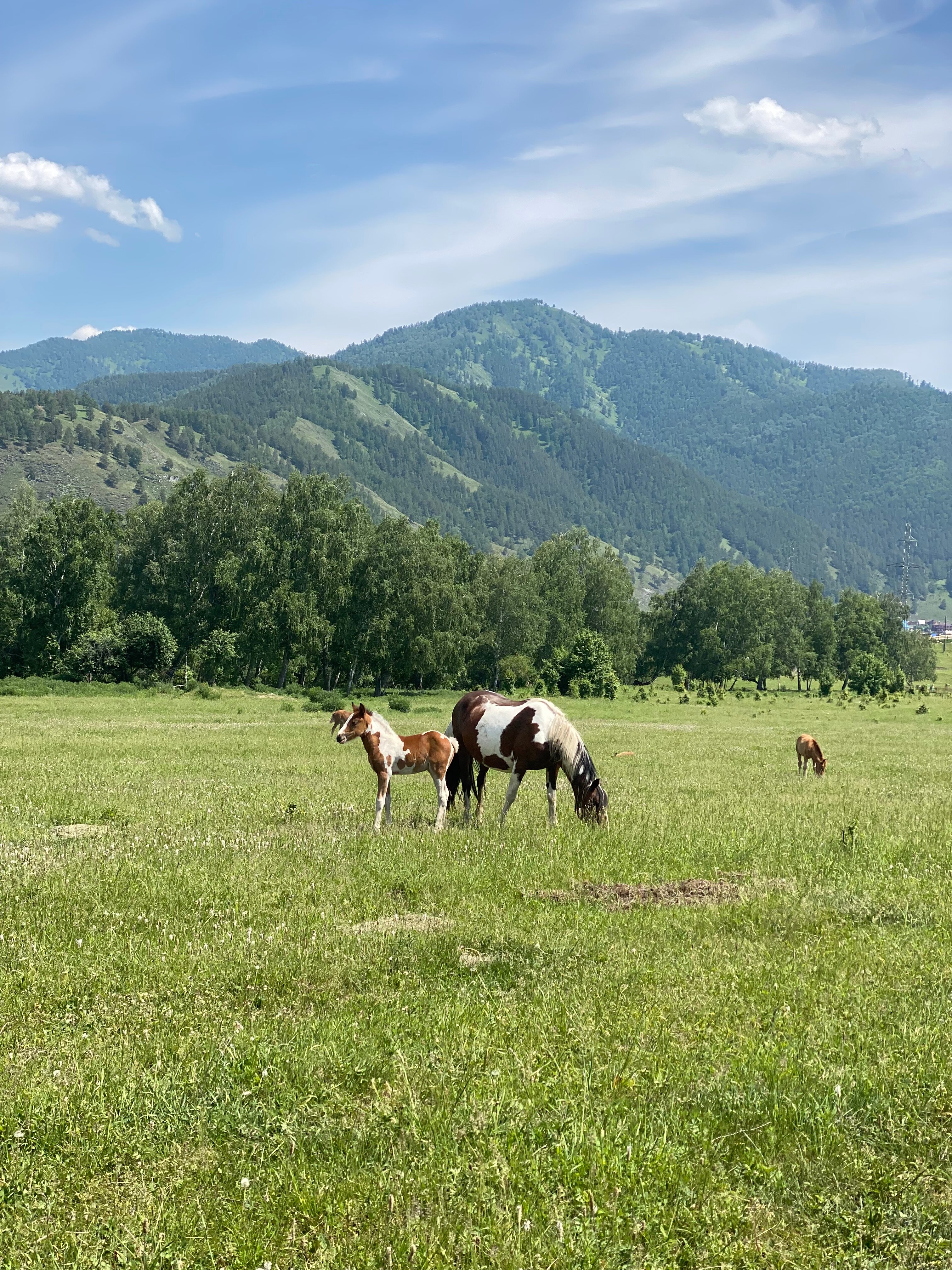 Горная долина - 19