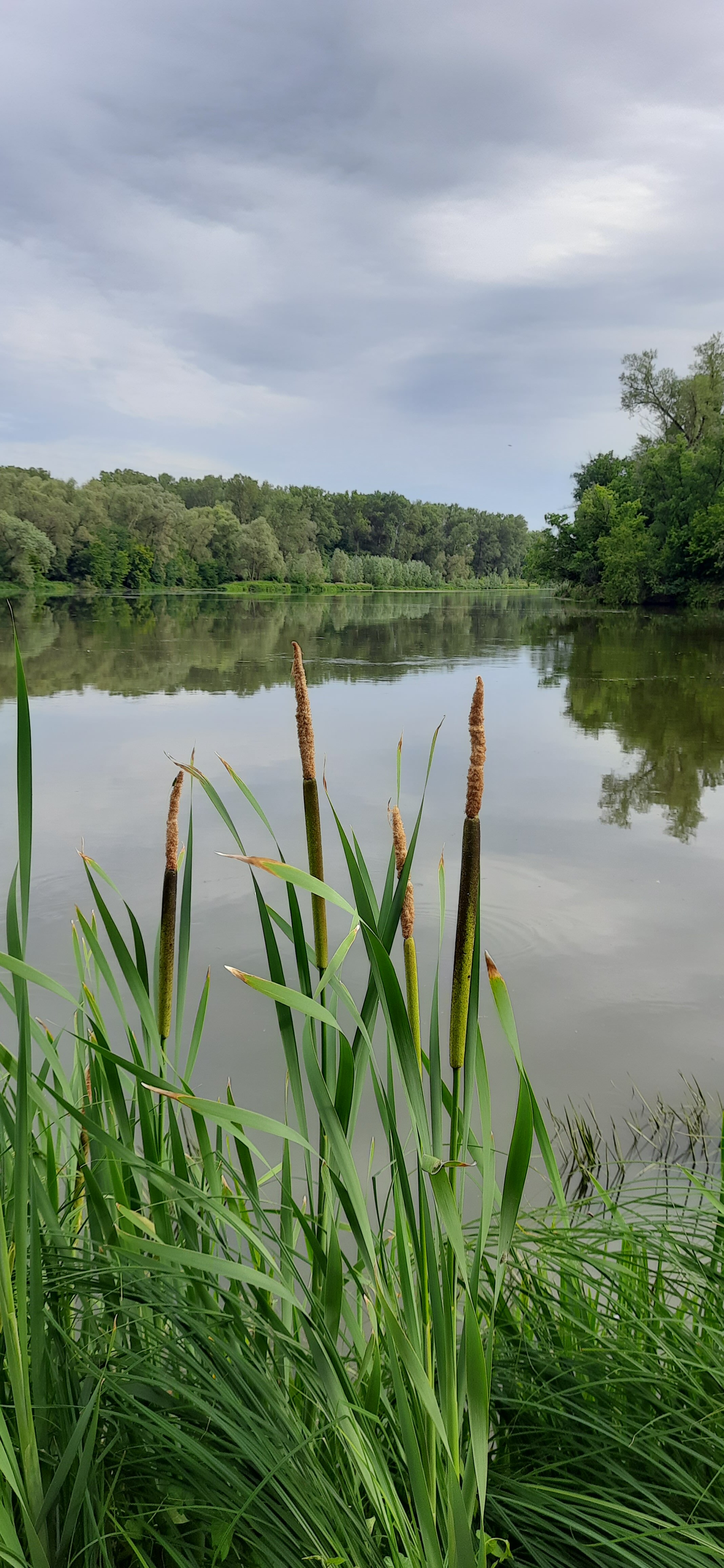 Фото База отдыха Шиханы