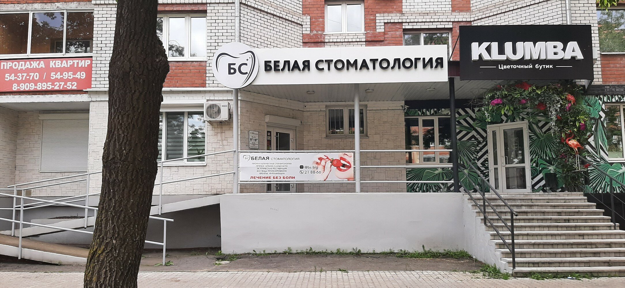 Белая Стоматология, стоматологическая клиника, Комсомольская ул., 118, Йошкар-Ол