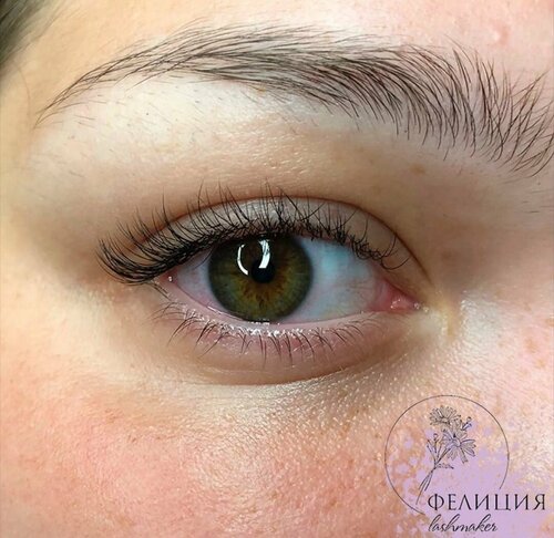 Eyebrow and eyelash salon Felicia, Krasnokamensk, photo