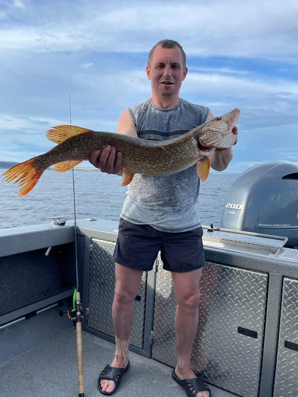 Фото Золотое