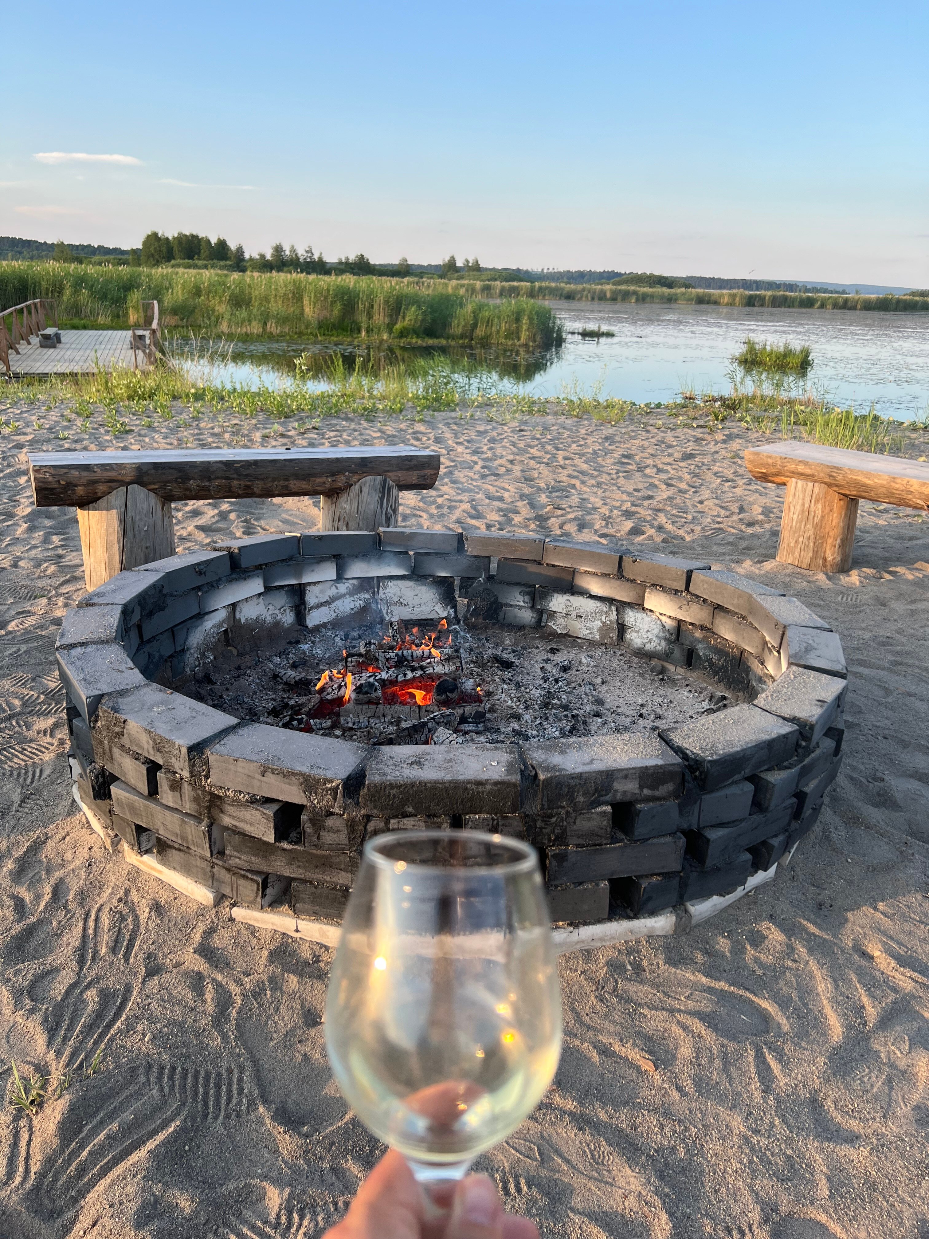 Фото Хитрый Лис