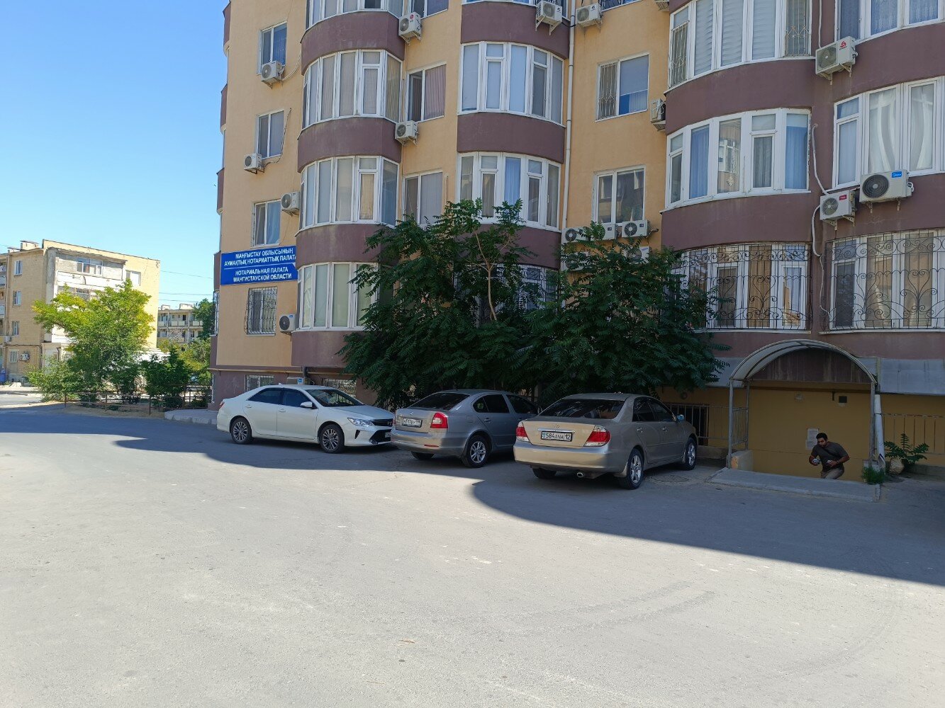 Оны желіде тратуды сұрайды