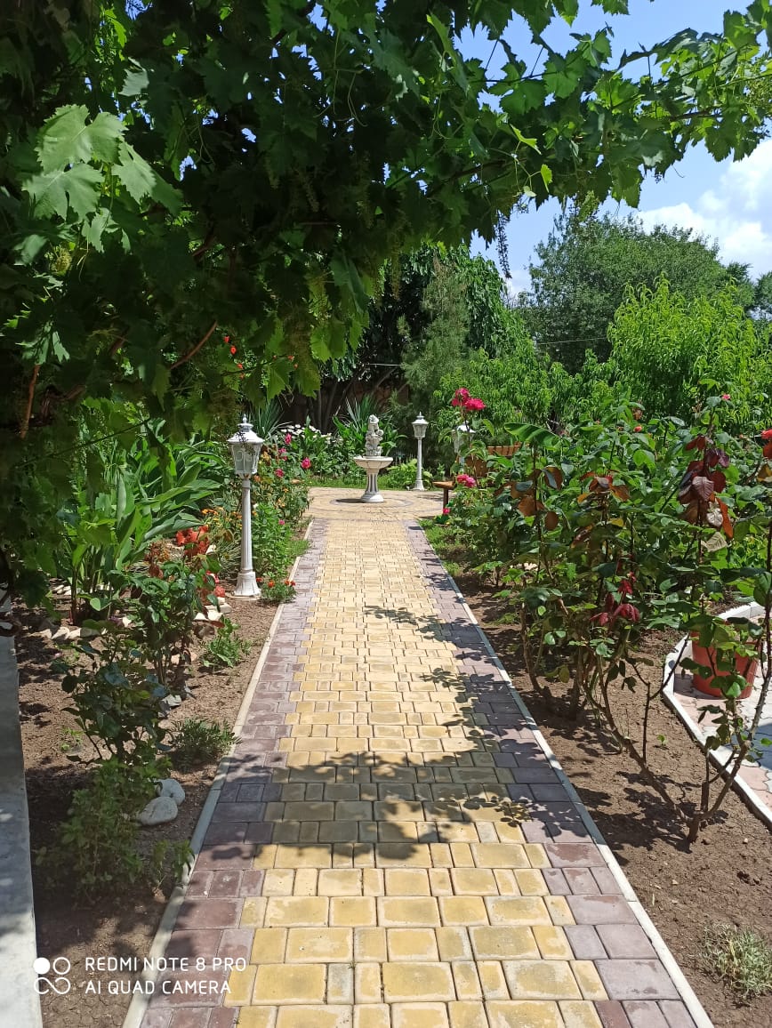 Фото У Борисовны