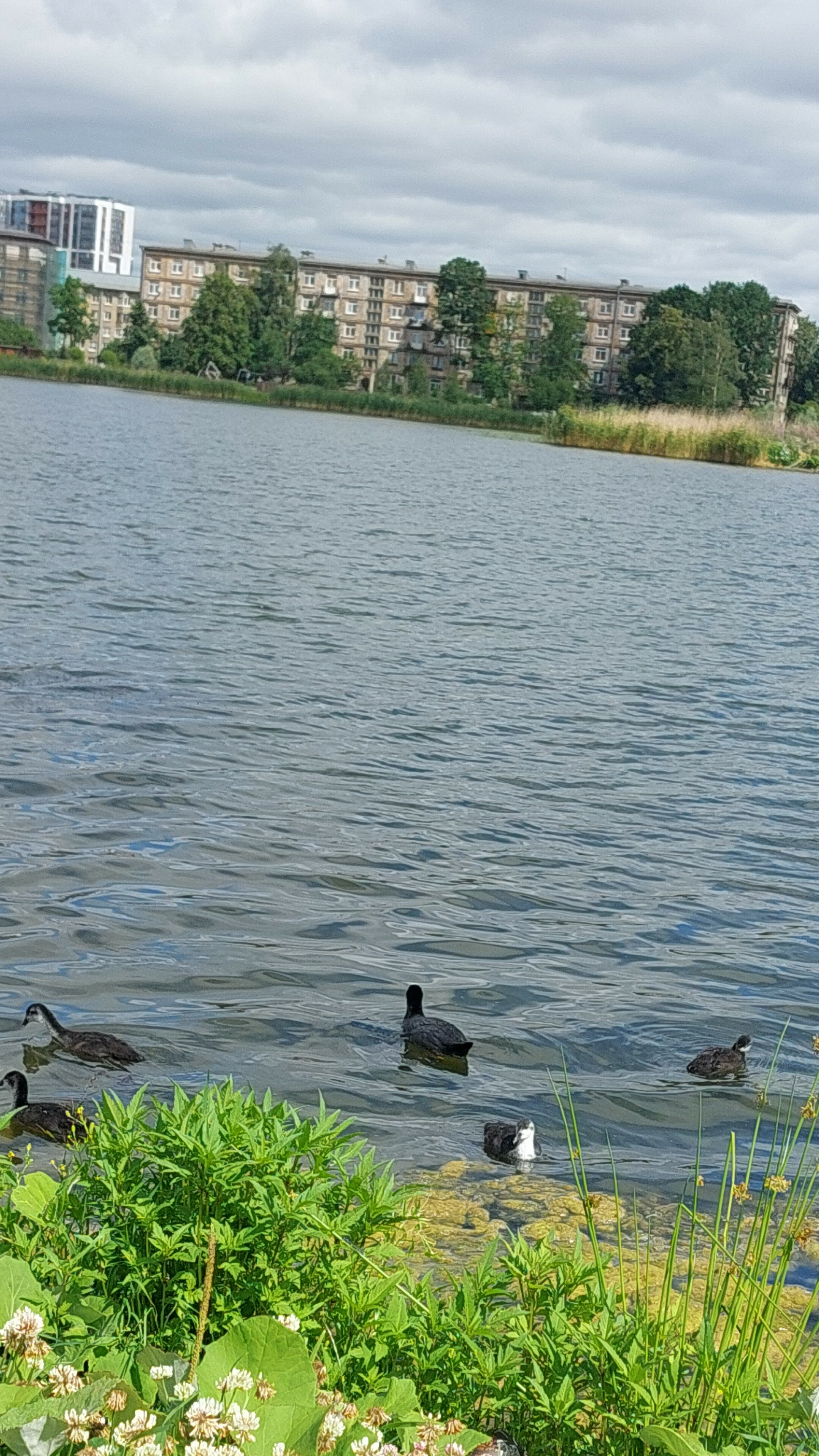 Фото Начало