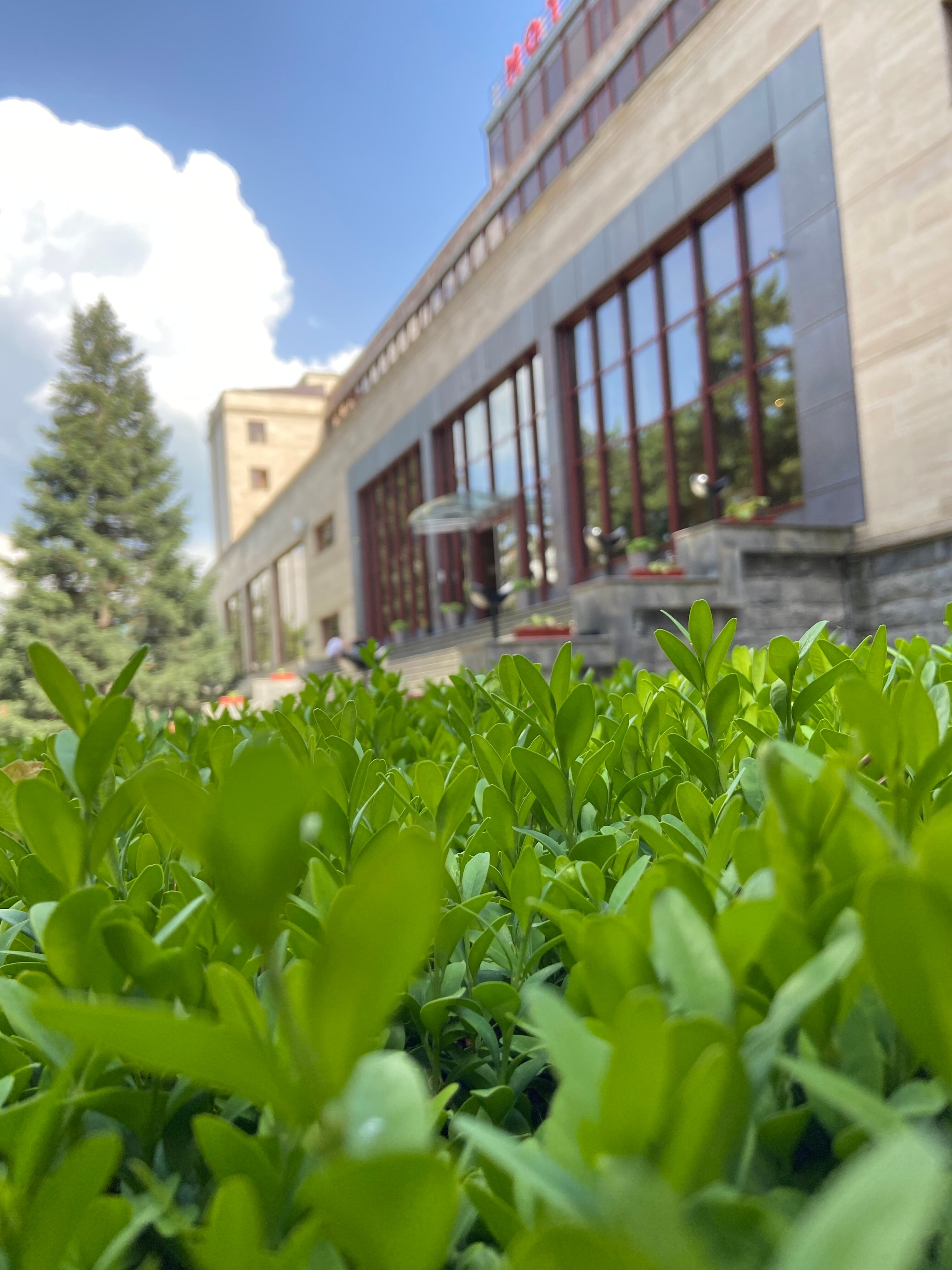 Фото Арарат