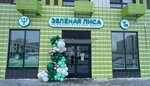 Green Fox (Georgievskiy Avenue, 33к6), psychological center