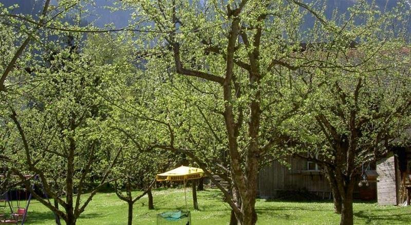 Фото Der Siegelerhof