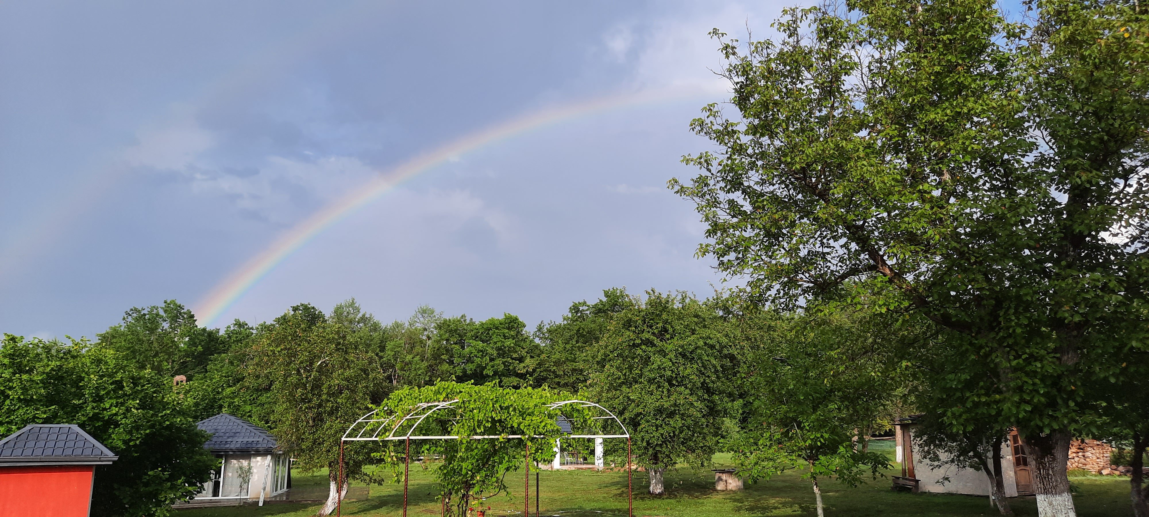 Фото Ореховая роща в Даховской