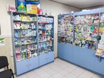 Аптека (Kalinina Street, 181), pharmacy