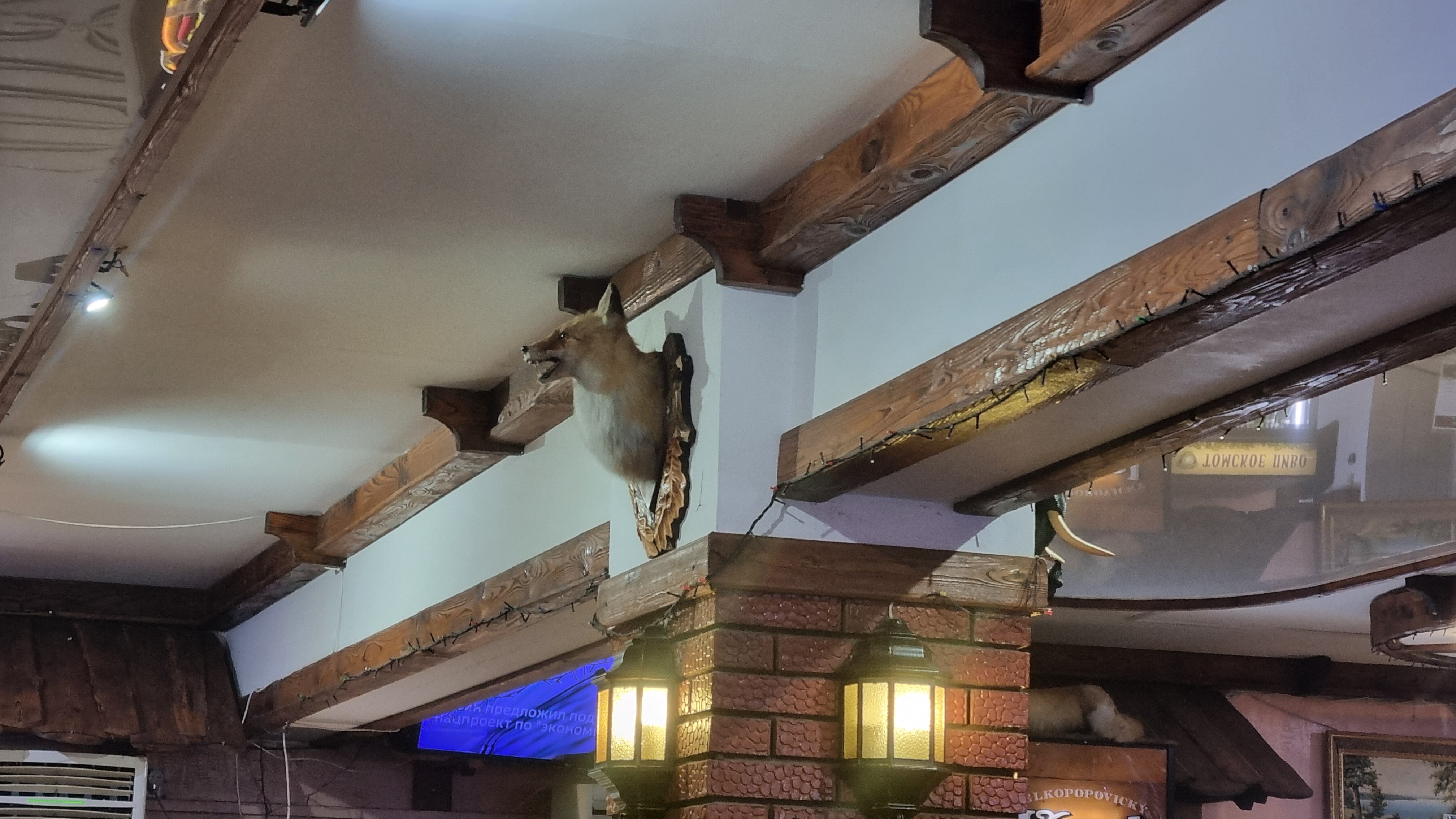 Фото У моста