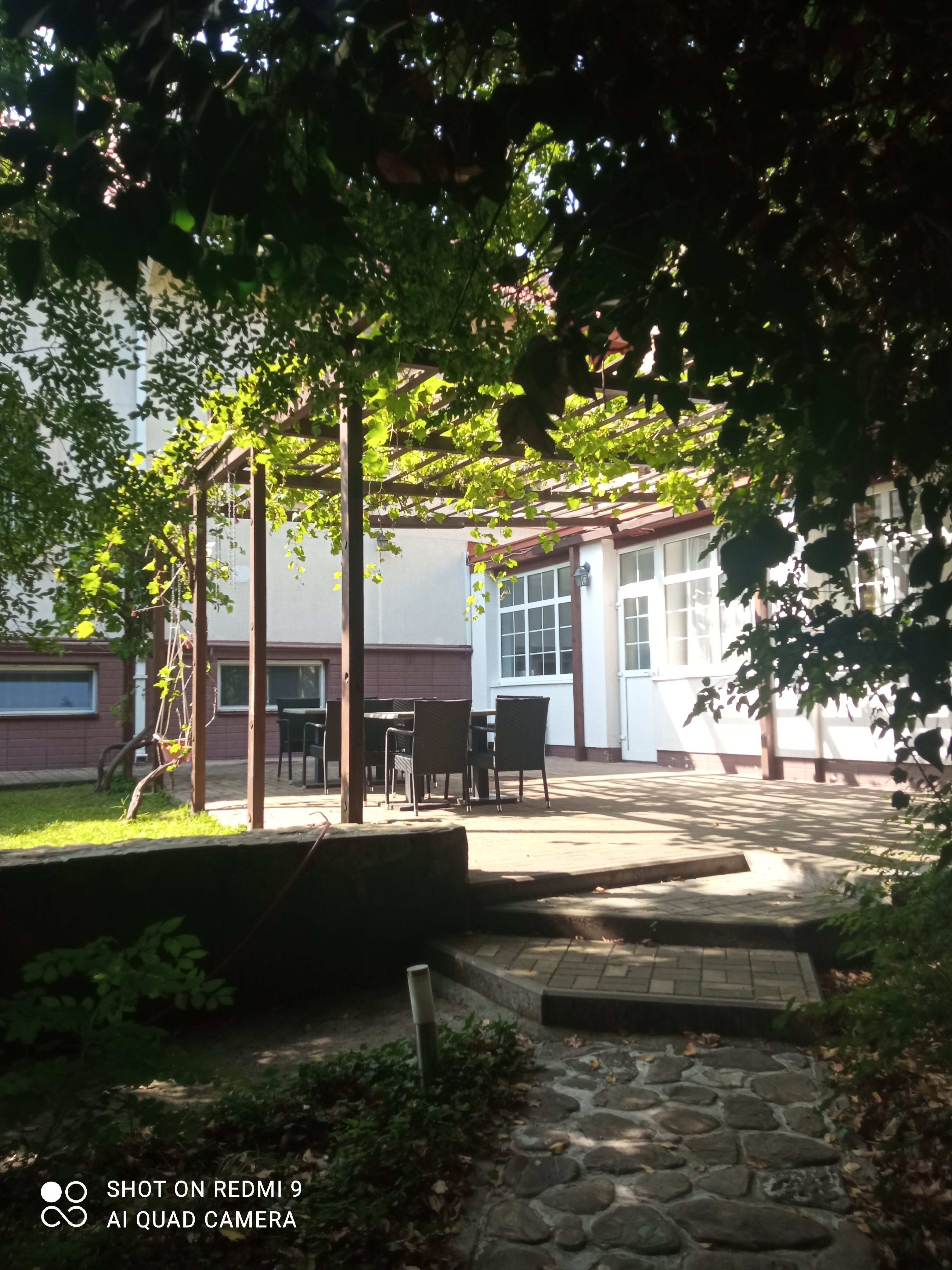 Фото Лесной