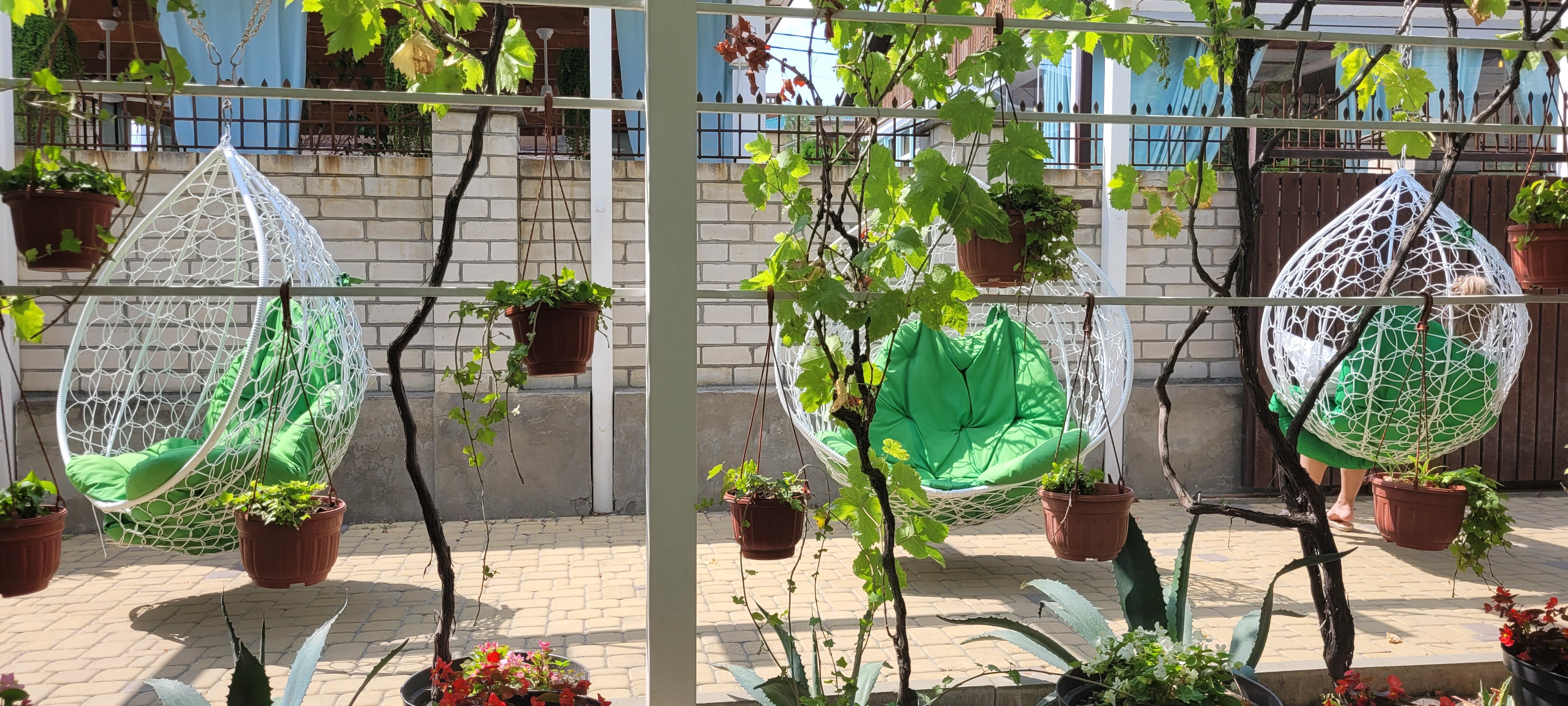 Фото Николаев двор