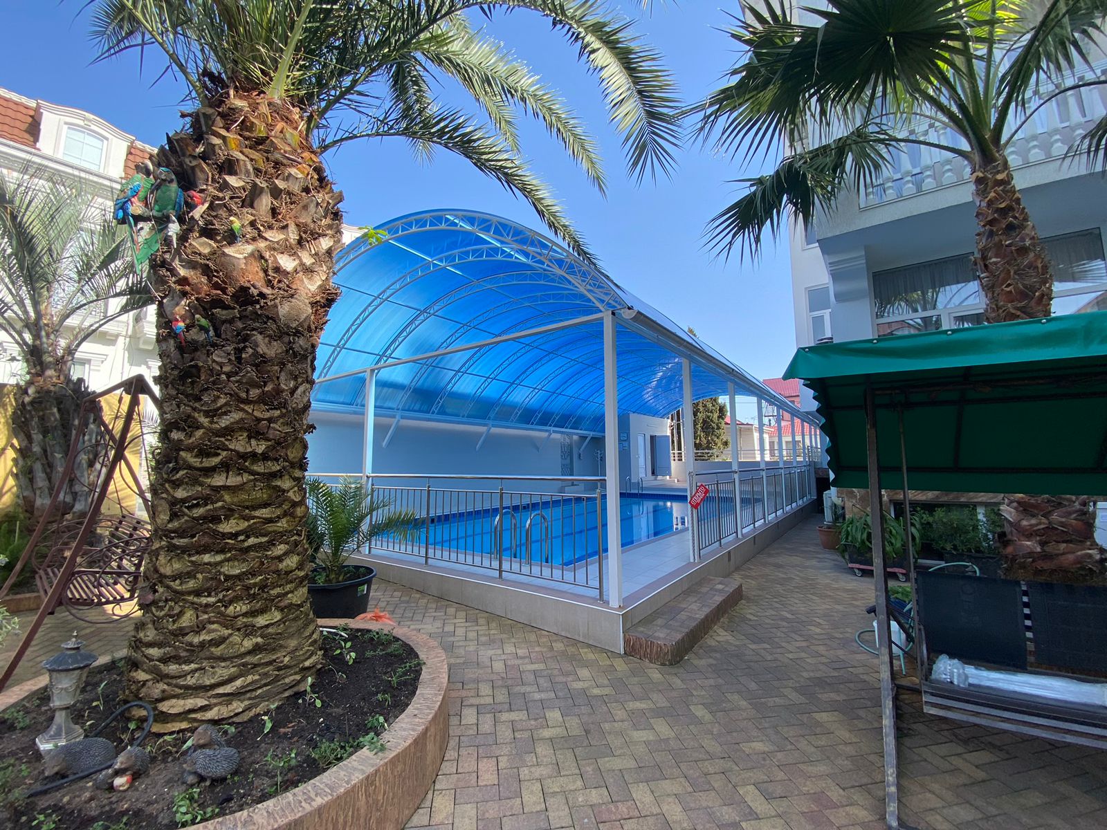 Фото Зелёный попугай