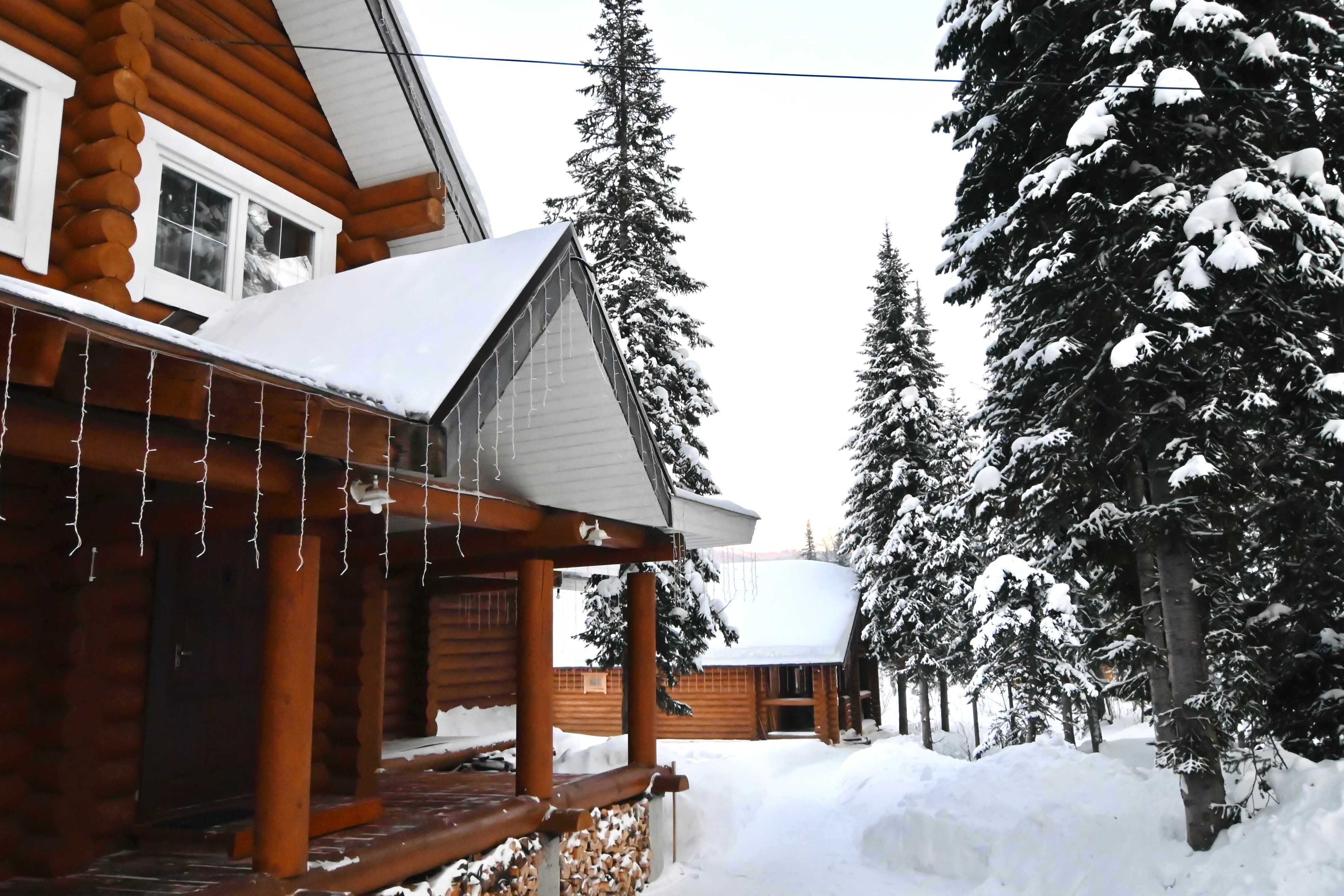 Фото Cosmos Gesh