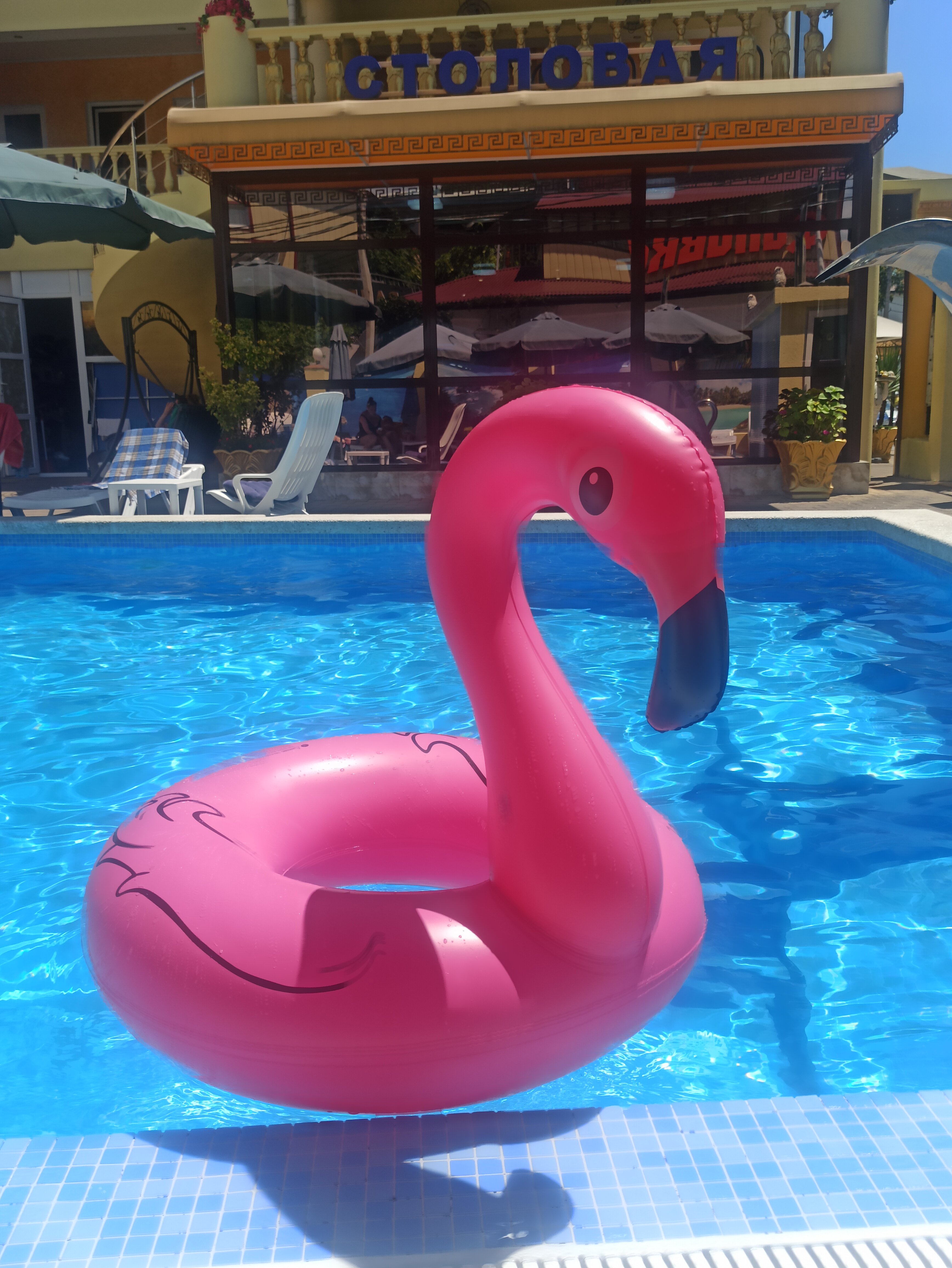 Фото Акрополь