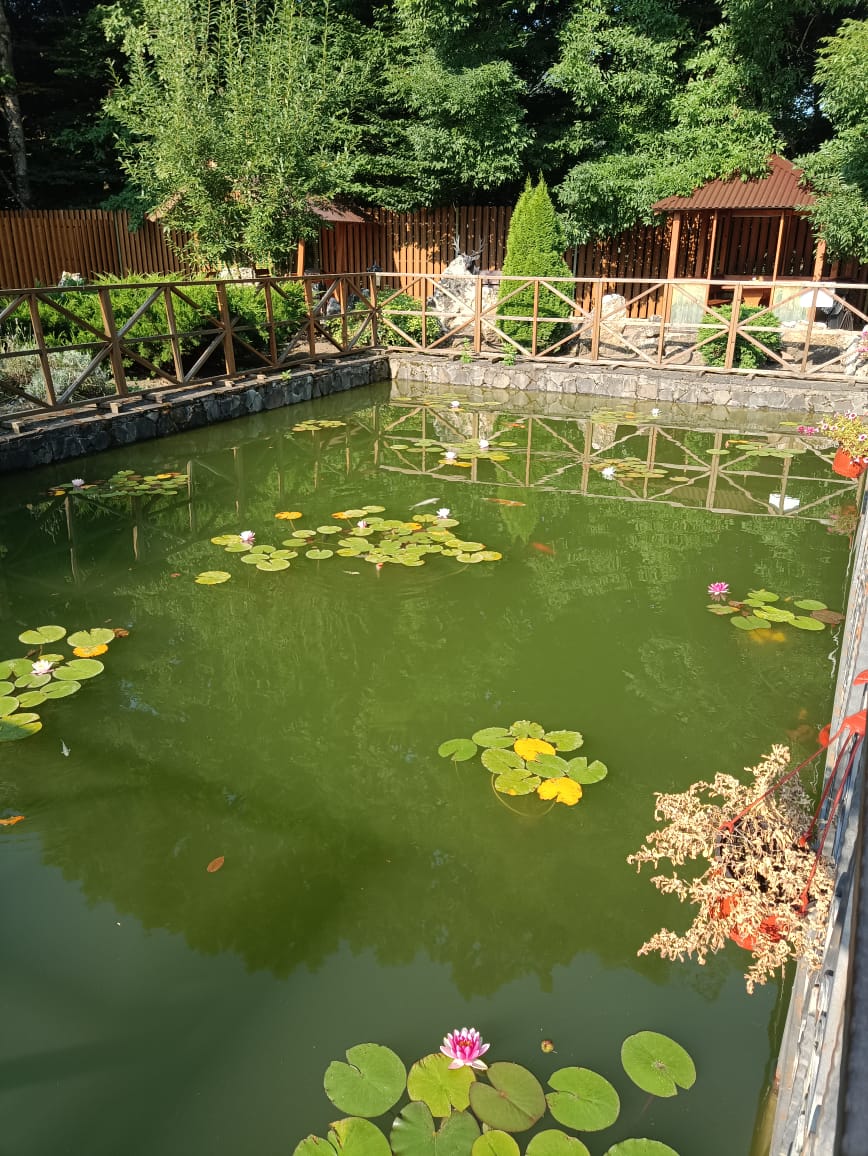 Фото Турбаза Горная