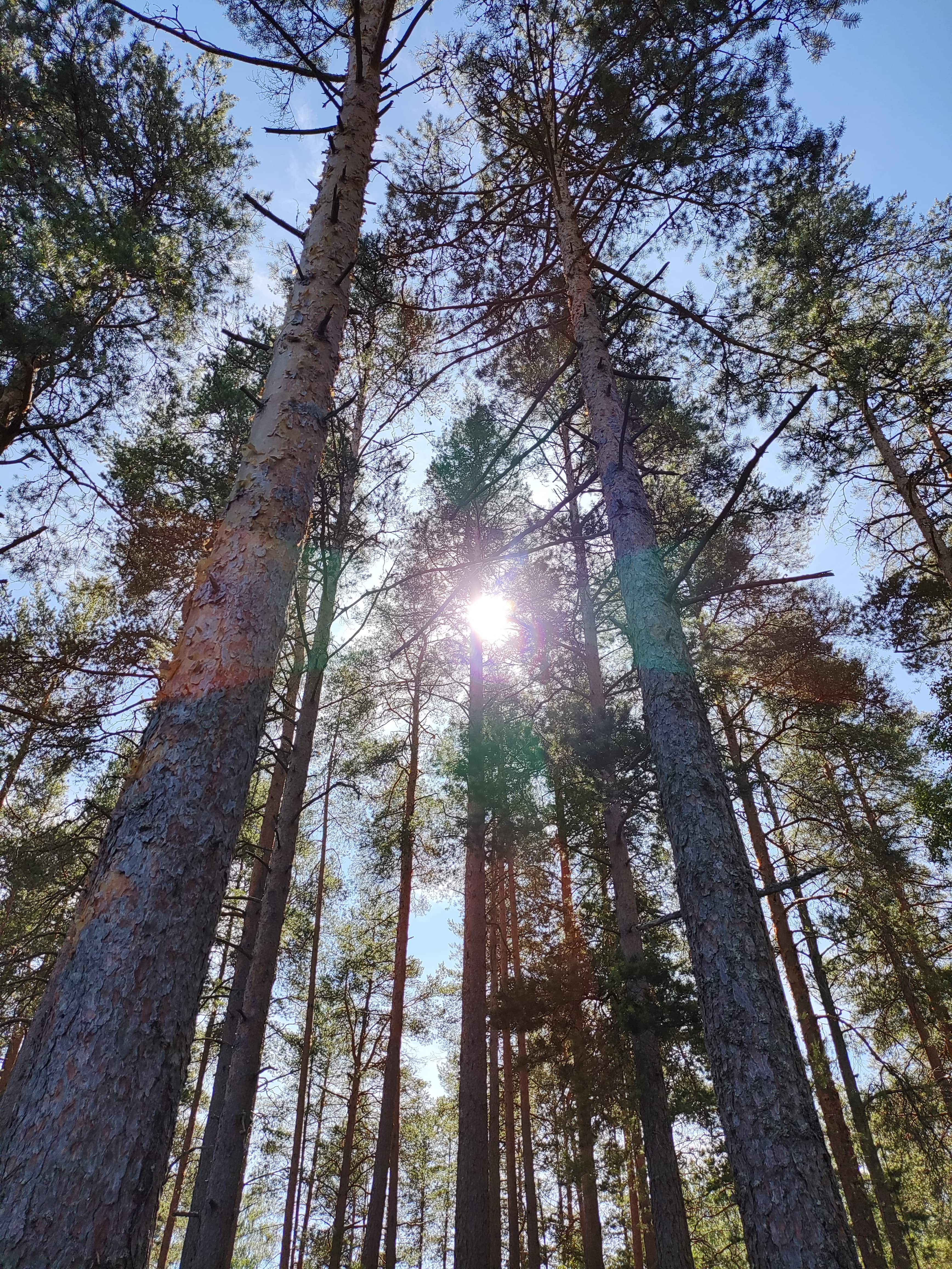 Фото Курорт Илмола