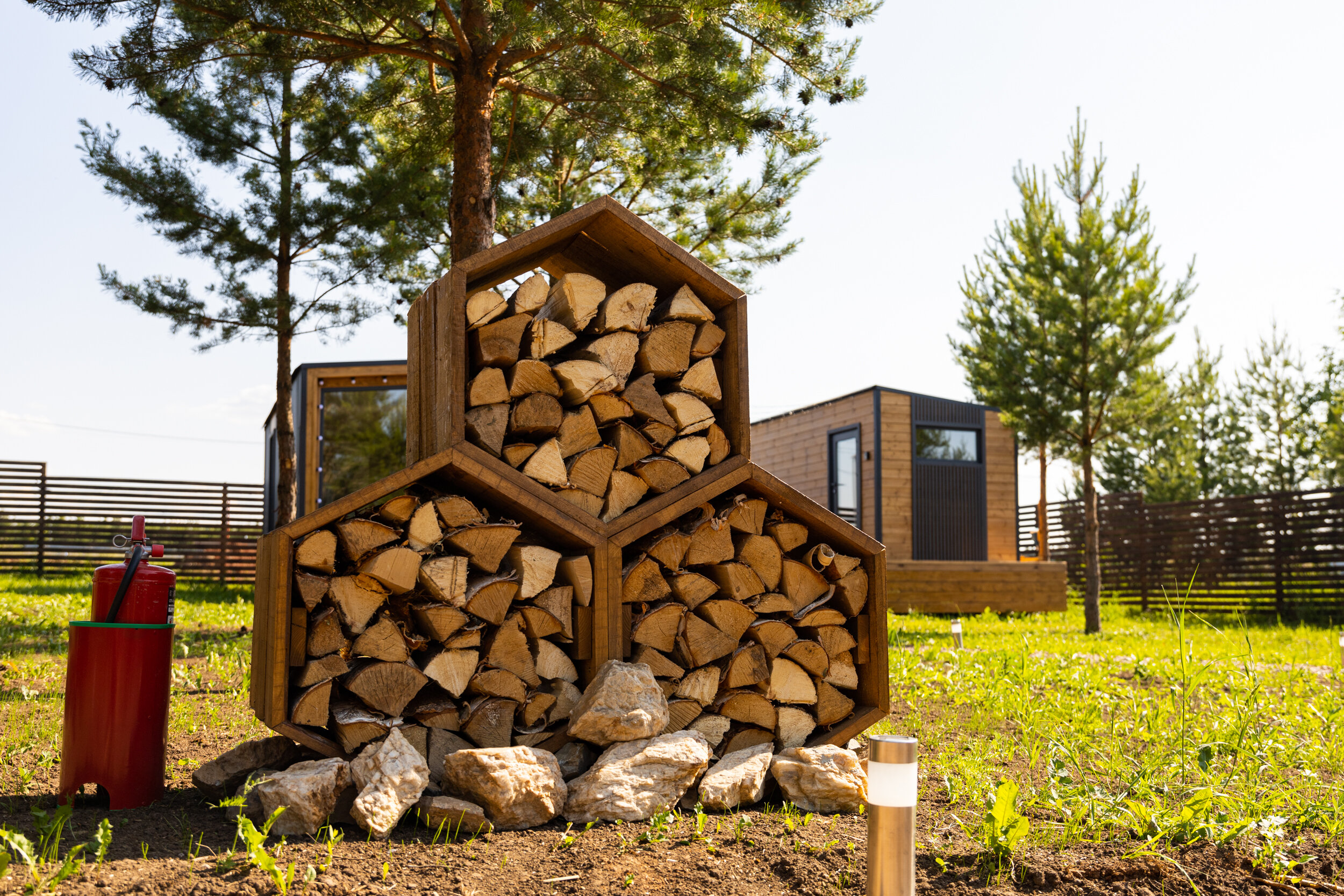 Фото На опушке