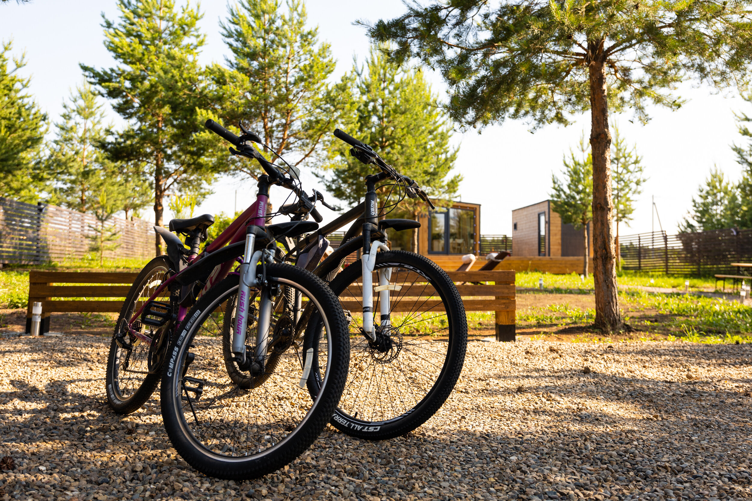 Фото На опушке