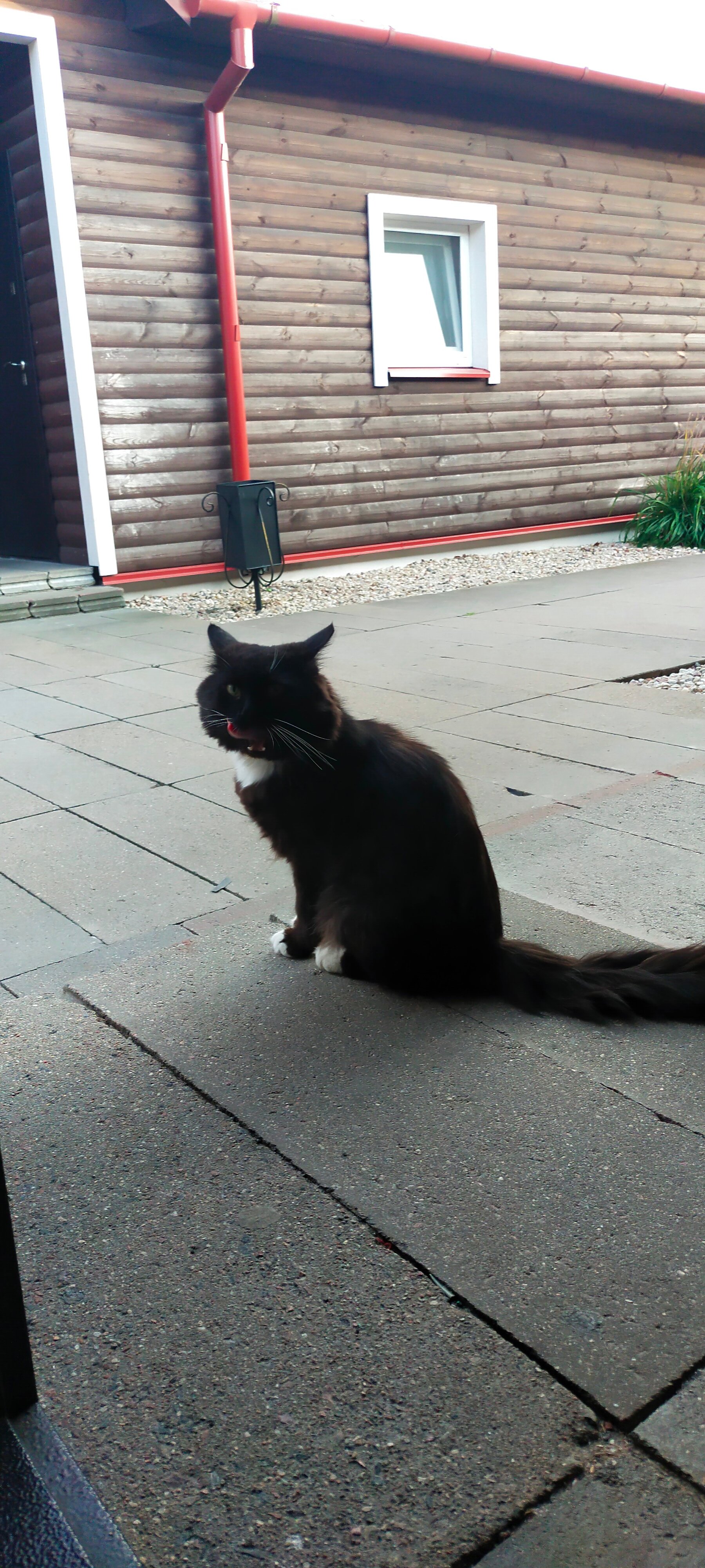 Фото Старый город