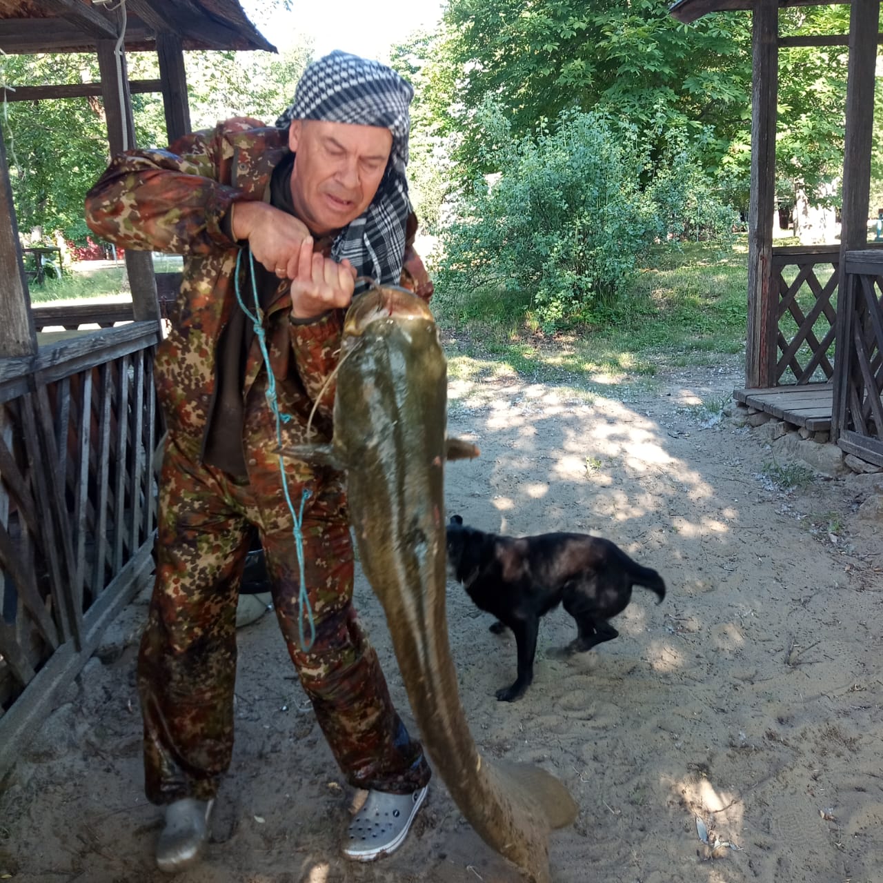 Фото Автомобилист