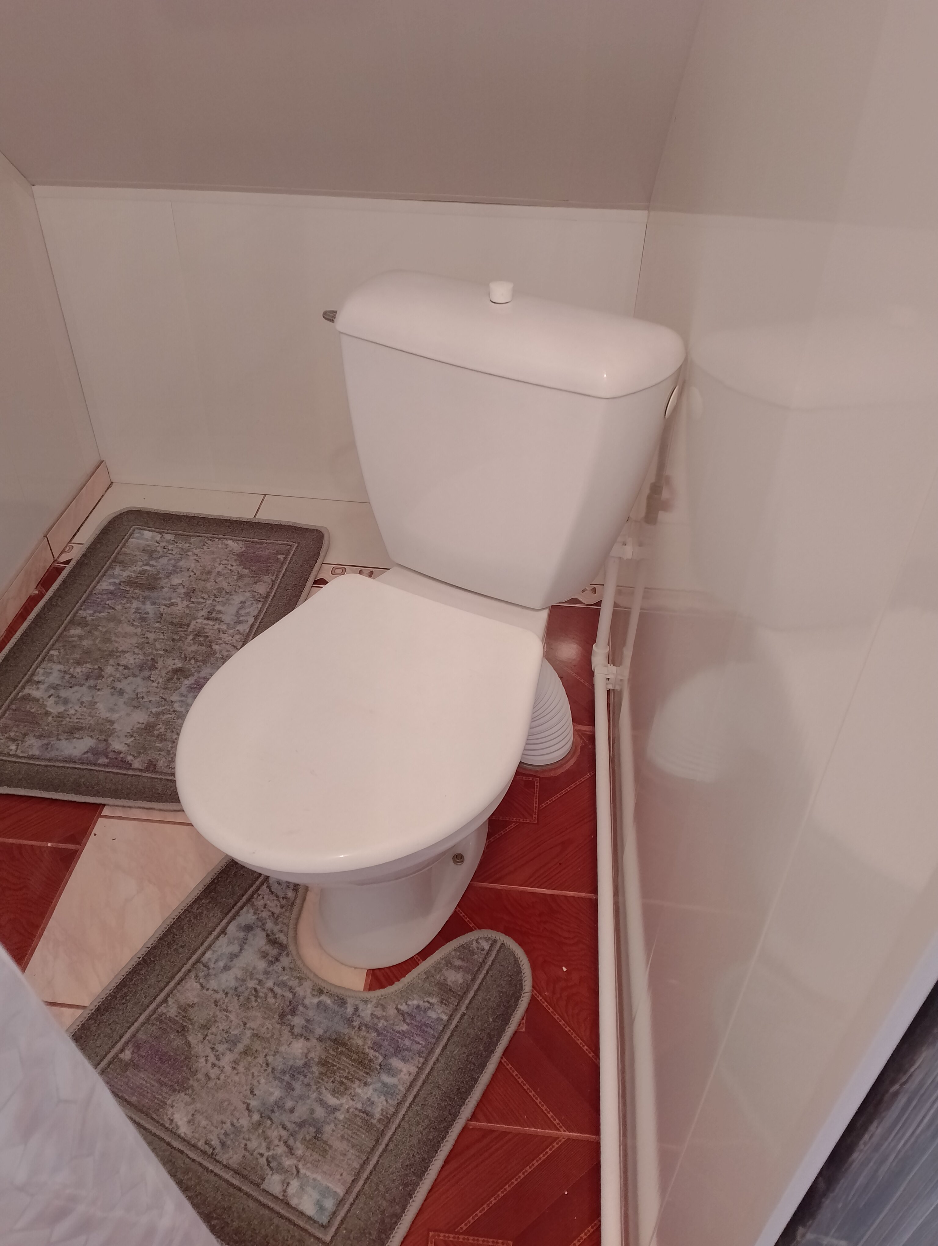 Фото Левада