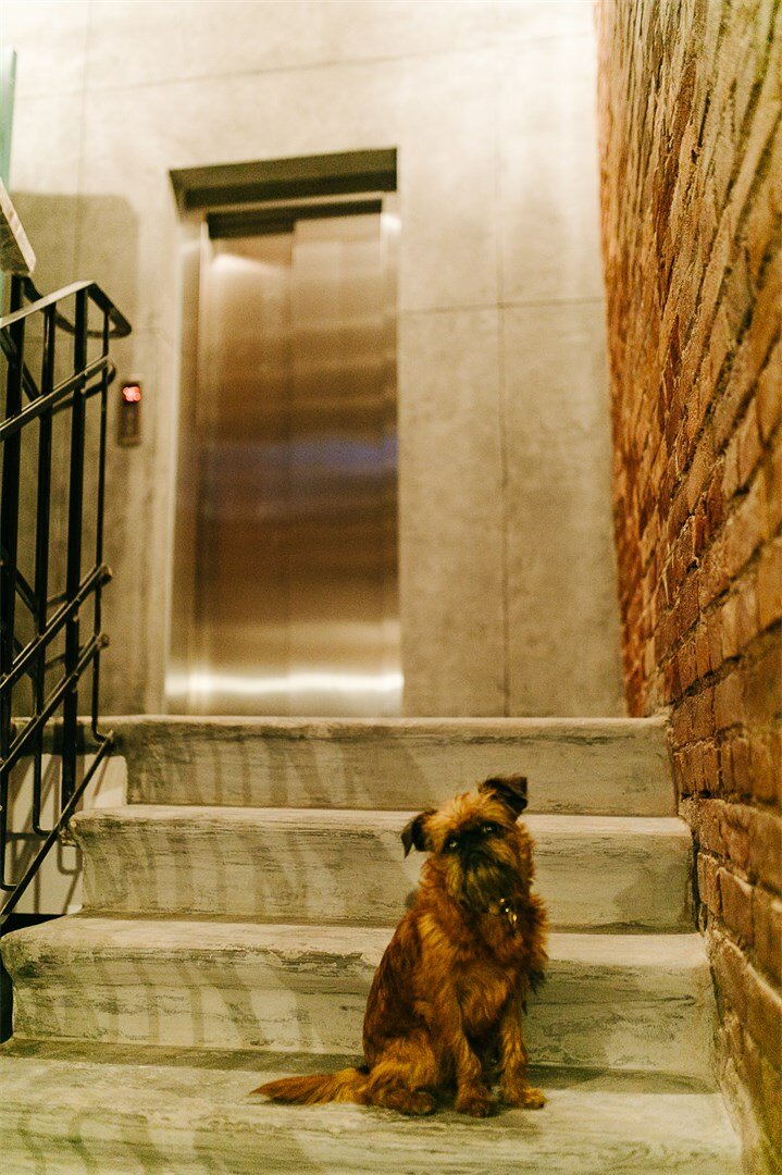 Фото Gutenberg Hotel