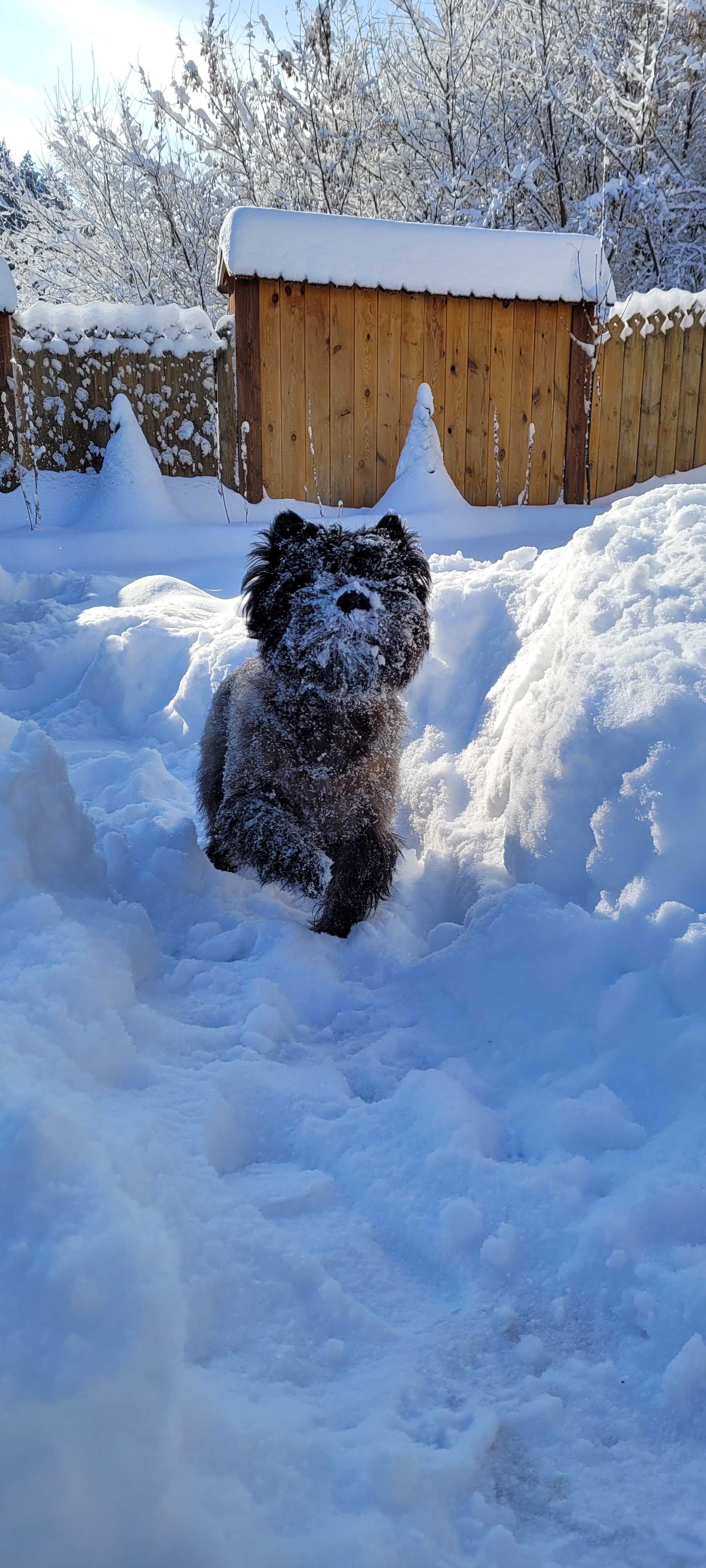 Фото Усадьба Жар-Птица