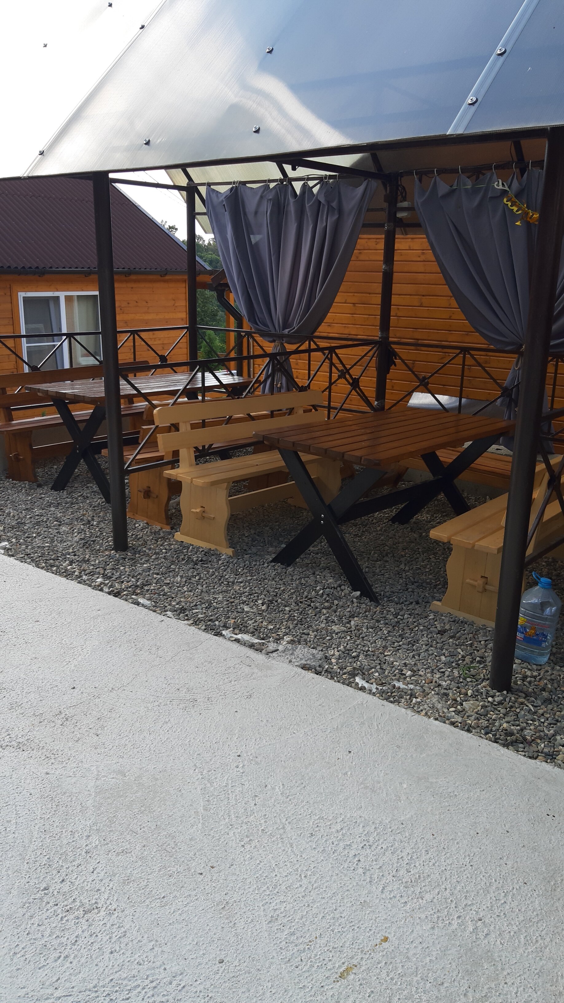 Фото Дельфин