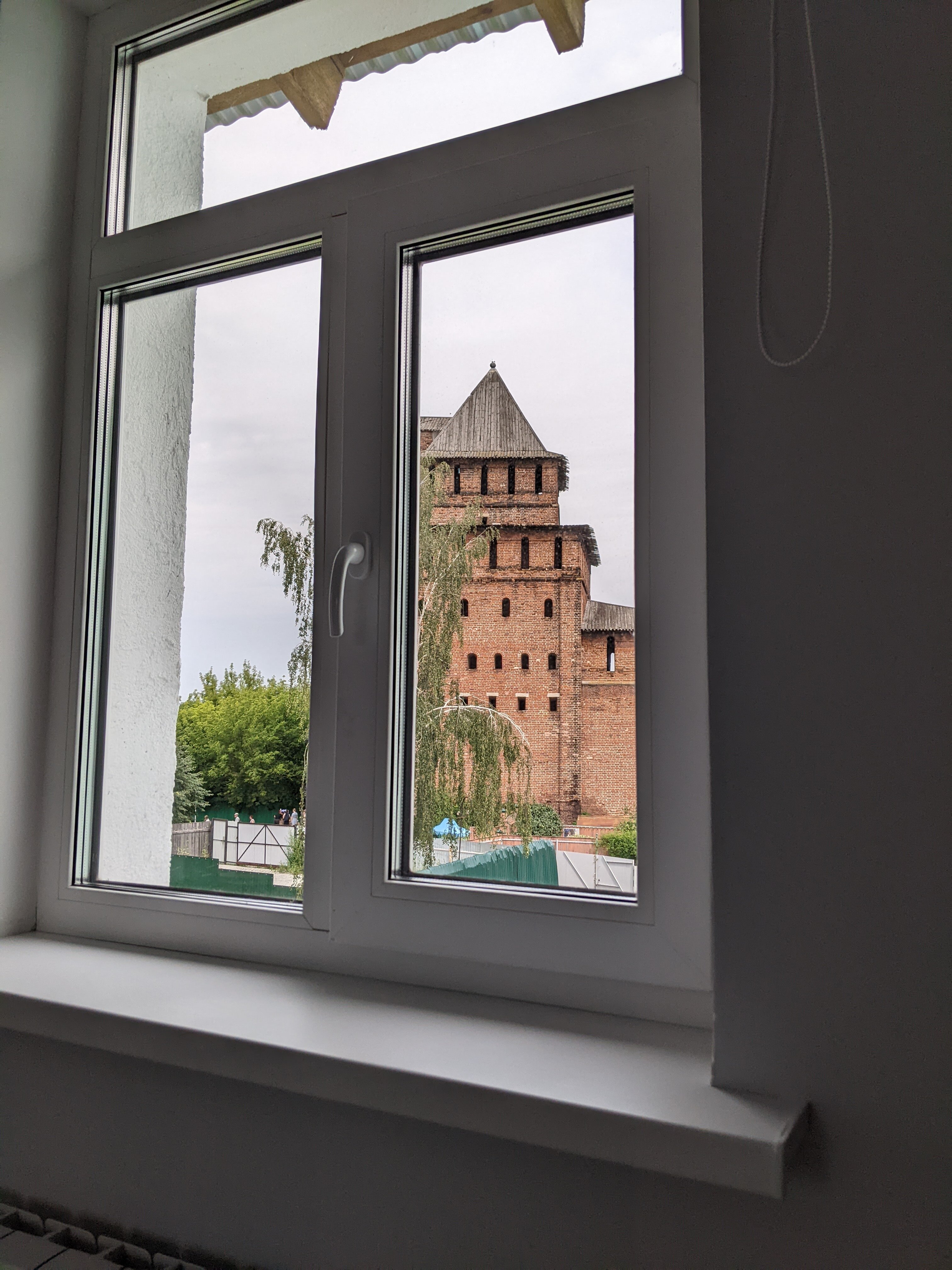 Фото  Гнездо