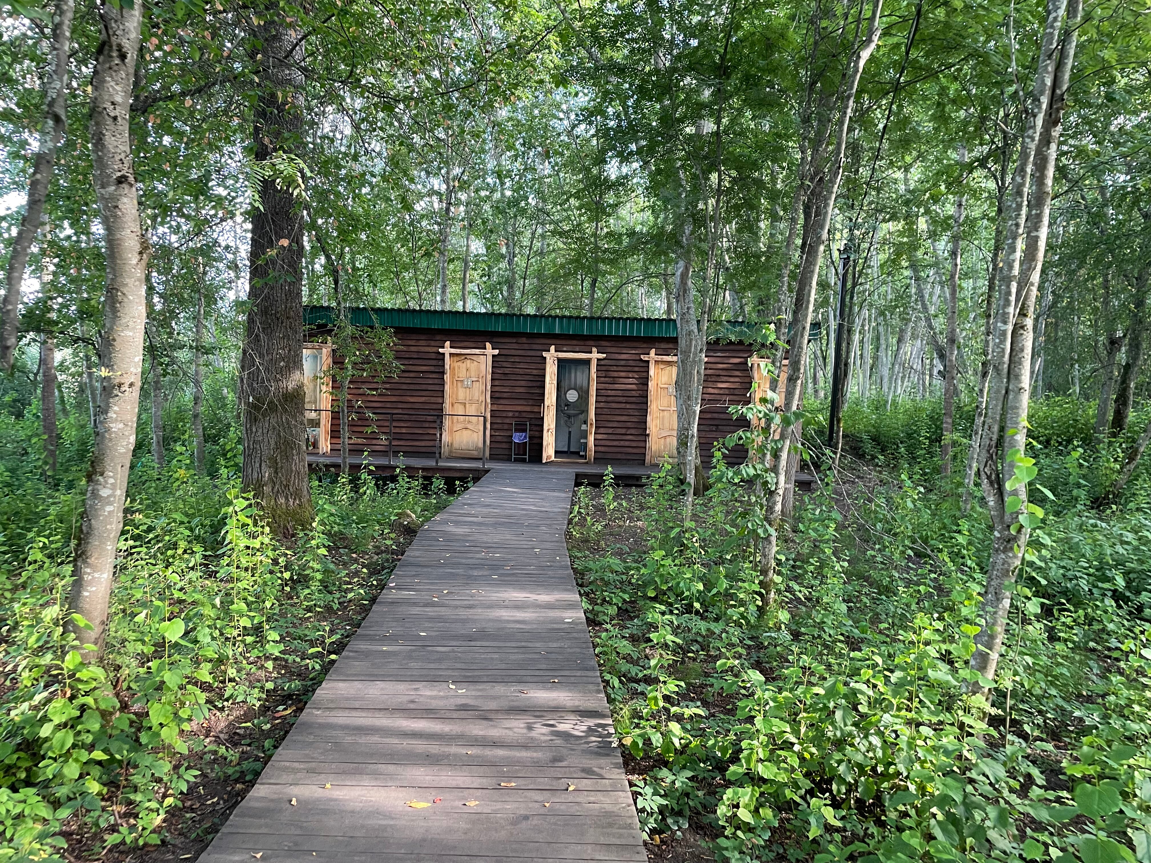 Фото Свобода