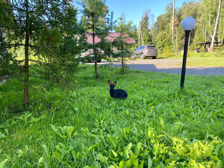Фото Парк-отель Красновидово