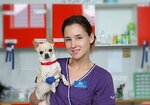 Свой доктор (Западный пер., 6), ветеринарная клиника в Уссурийске