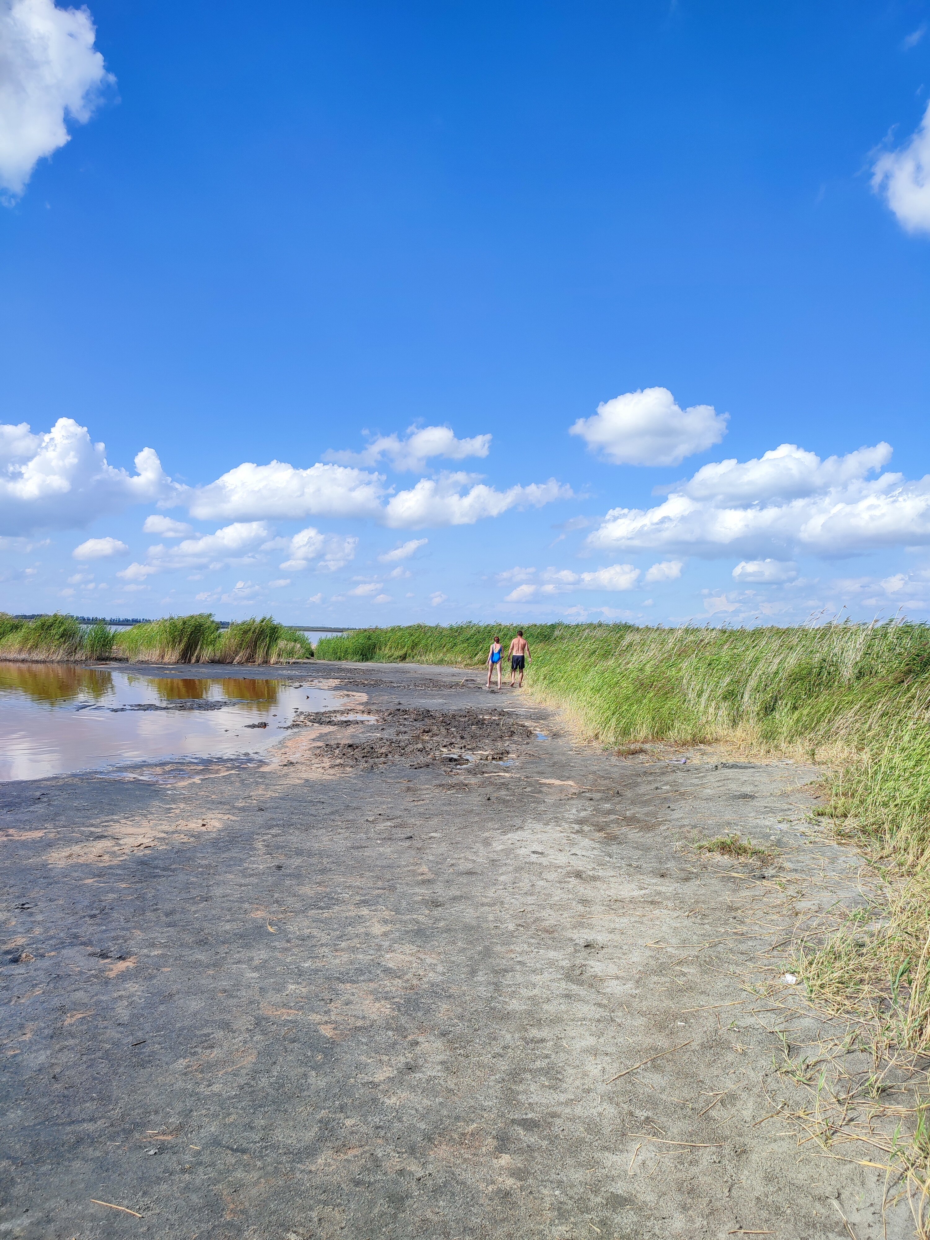 Фото Усадьба Гусли