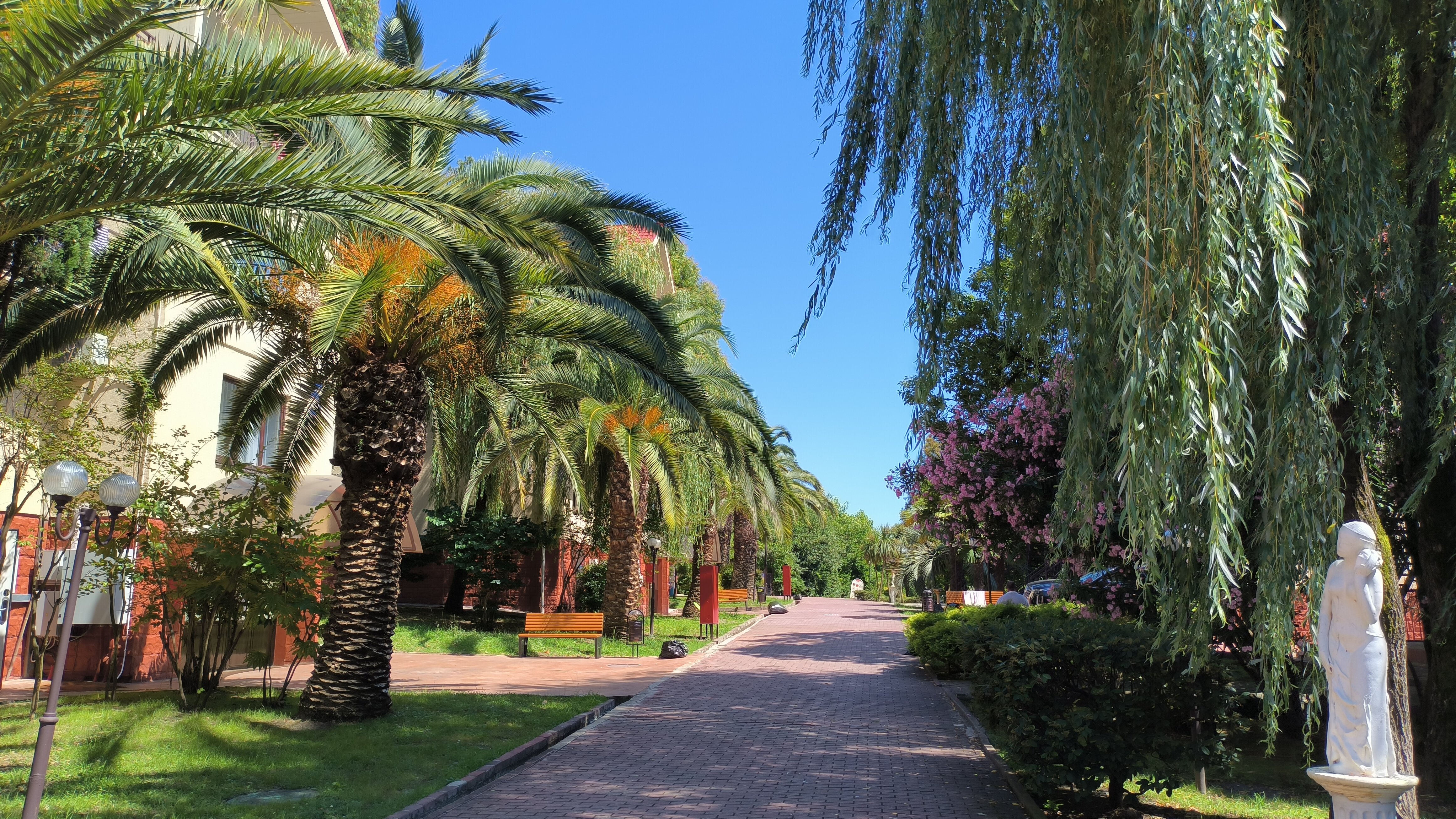 Фото Дивный