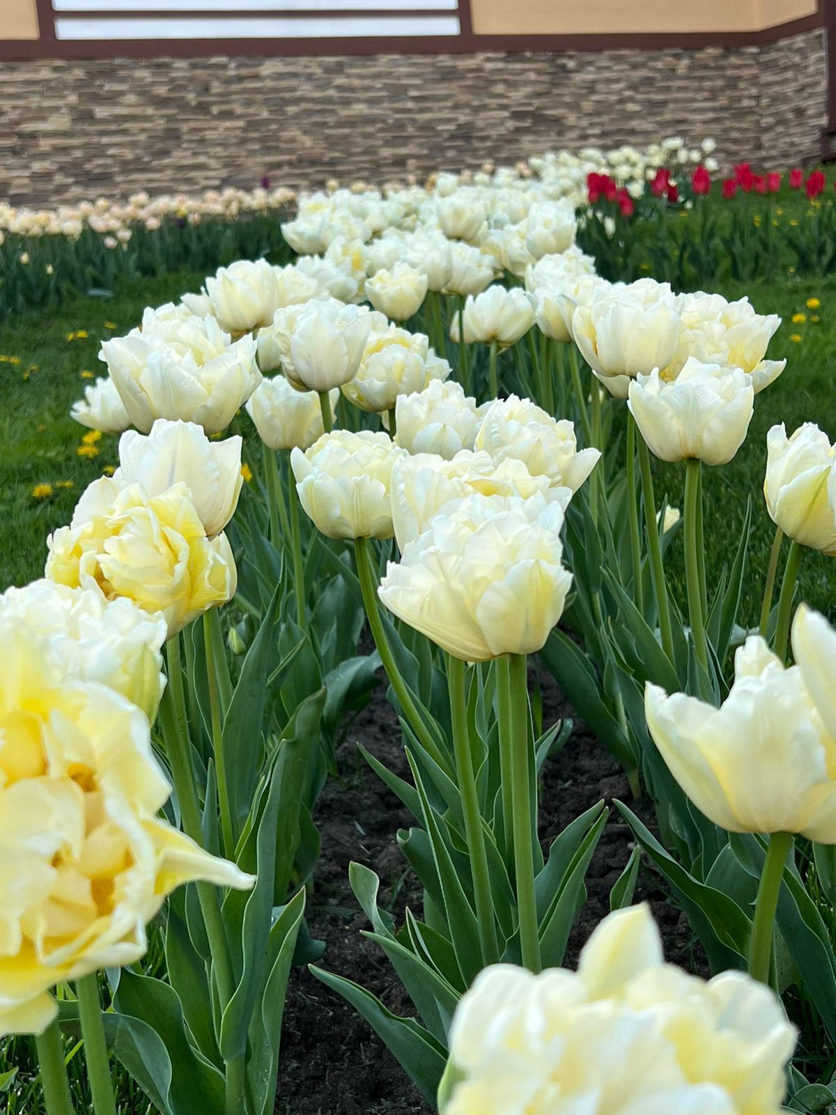 Фото Покровское Дивное