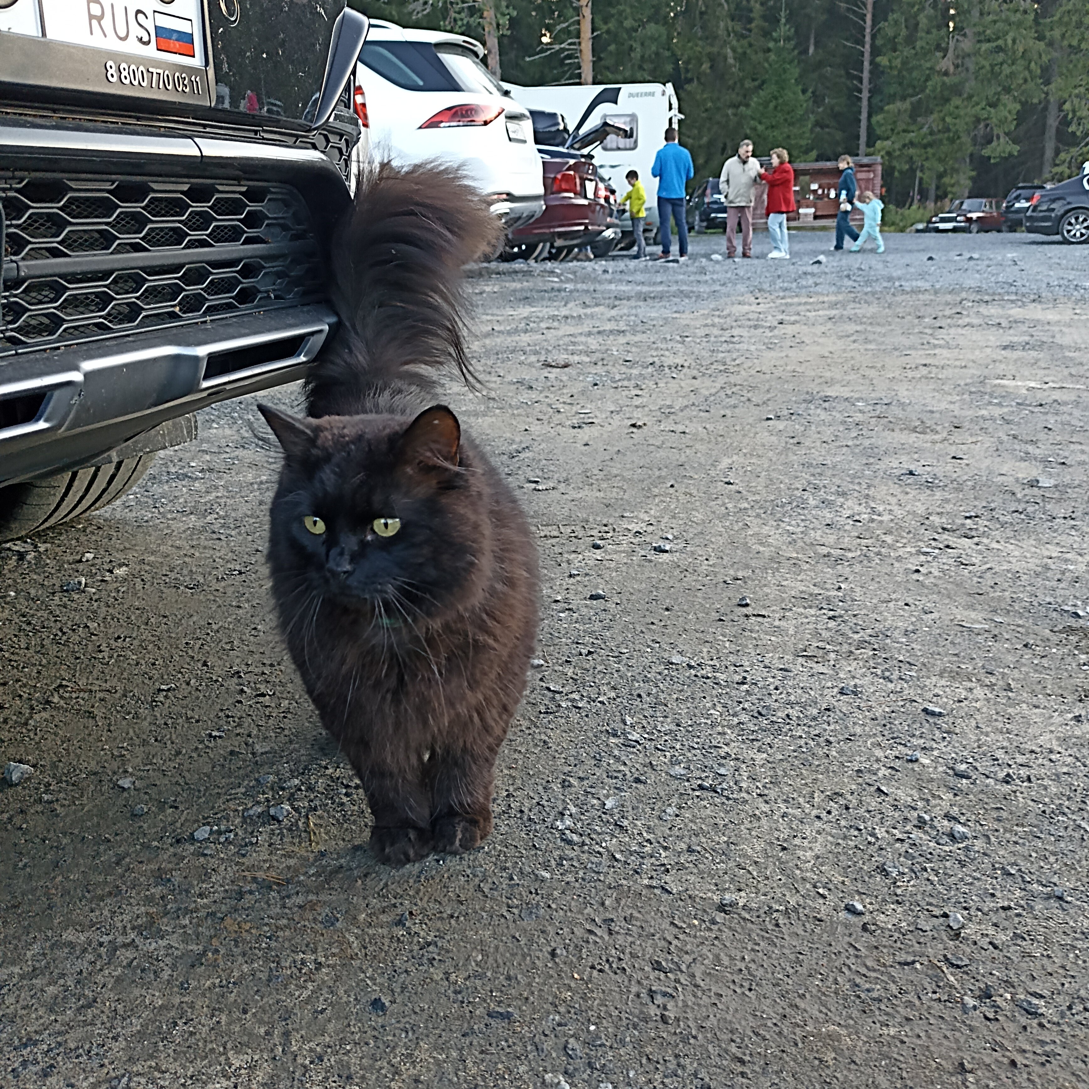 Фото Хутор Ёлки