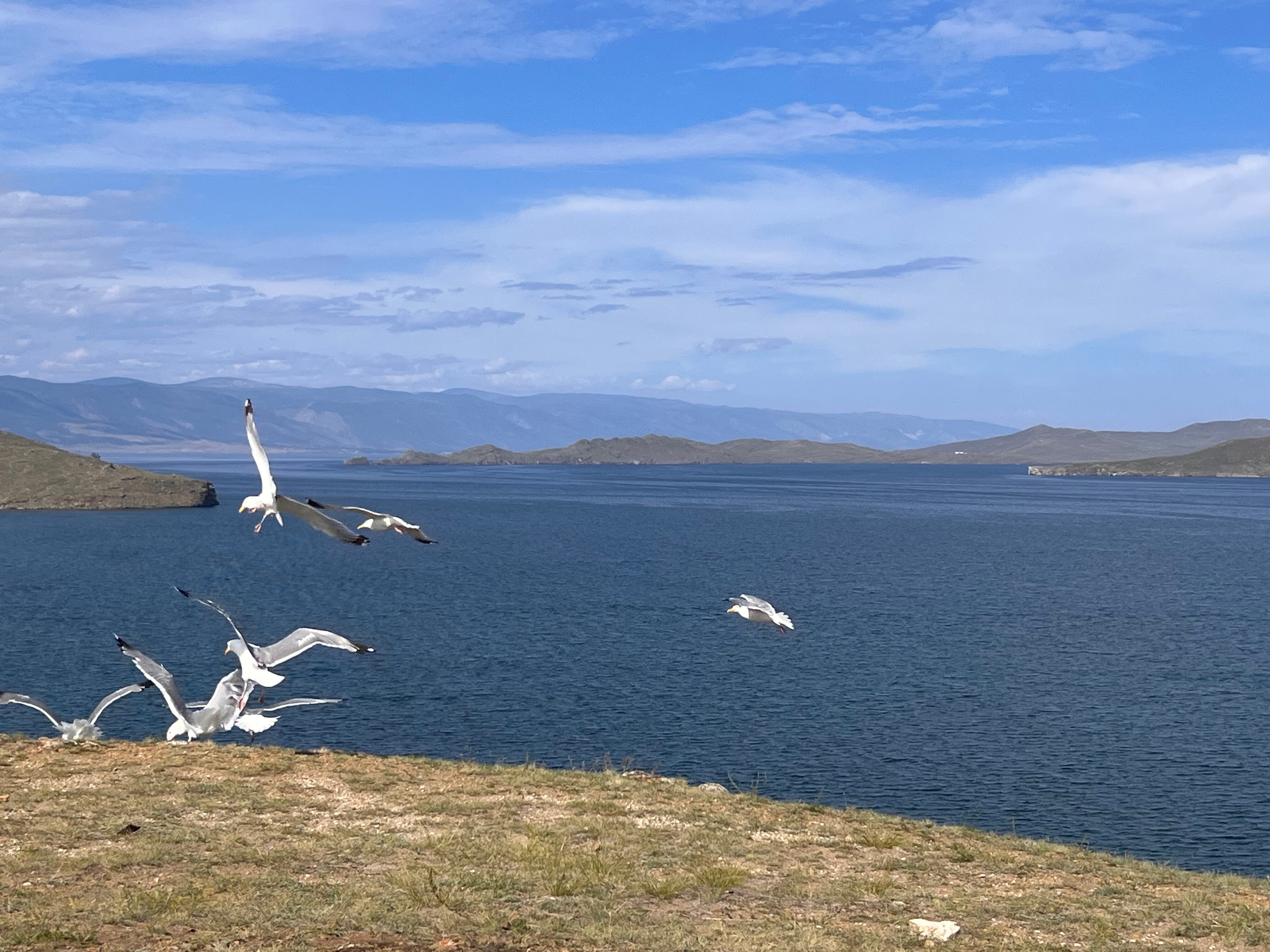 Фото Ветер странствий