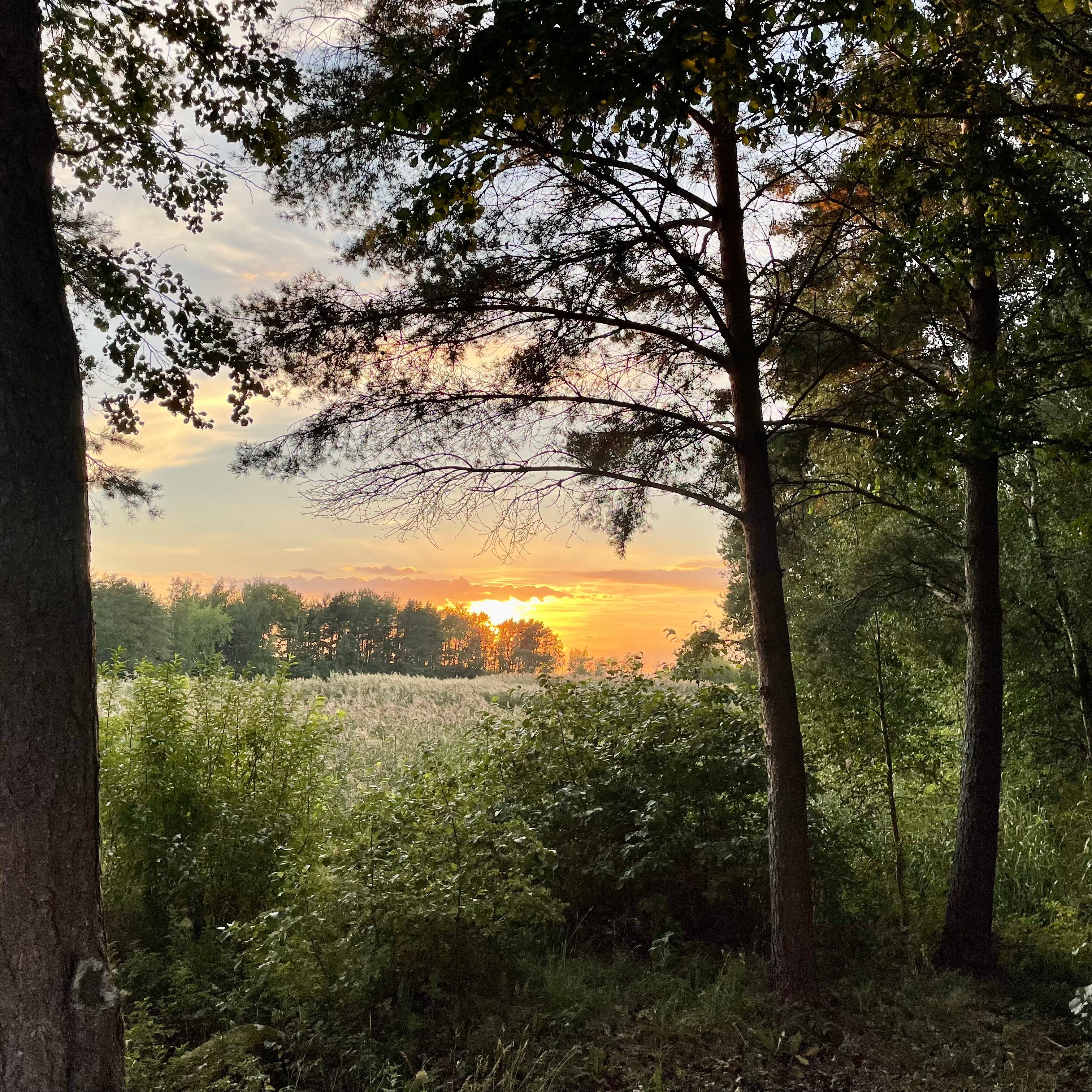 Фото Гостиница Ленинградская АЭС-Авто