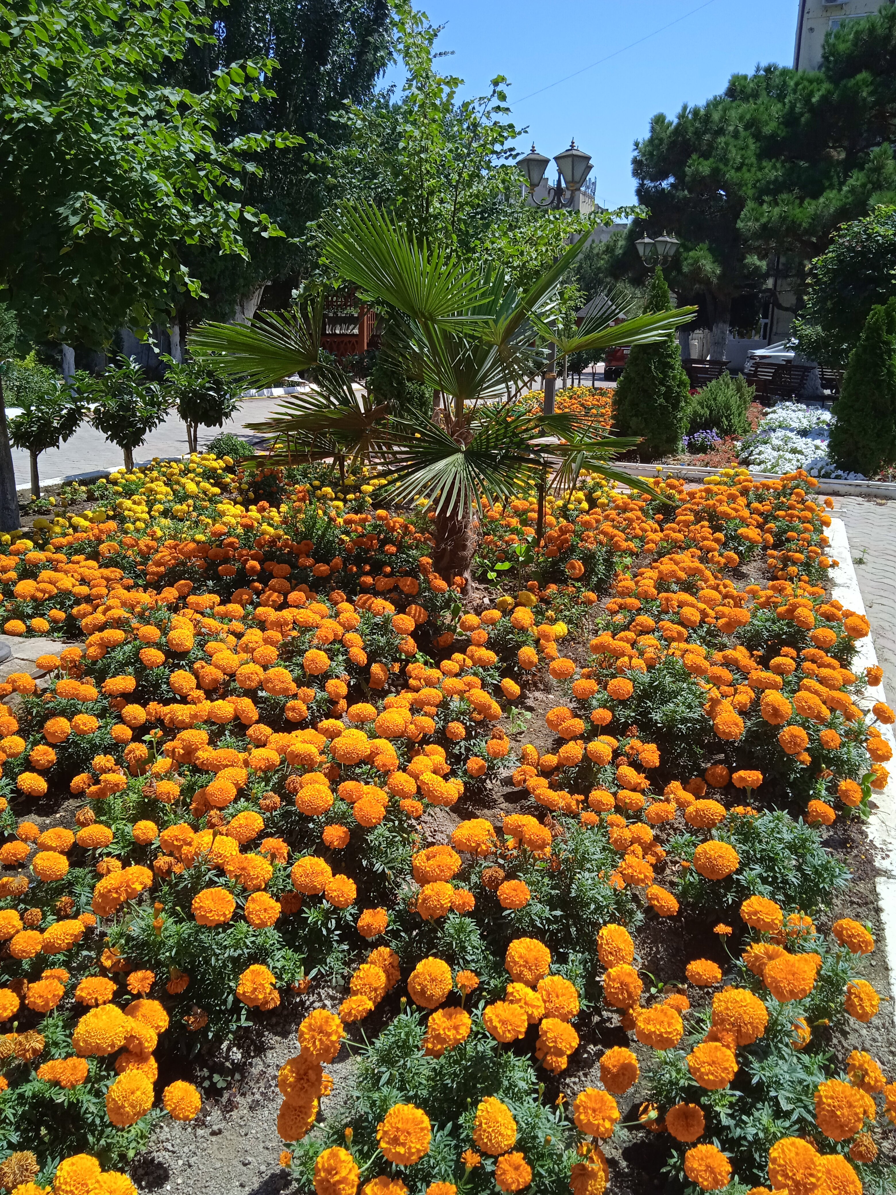 Фото Энергетик