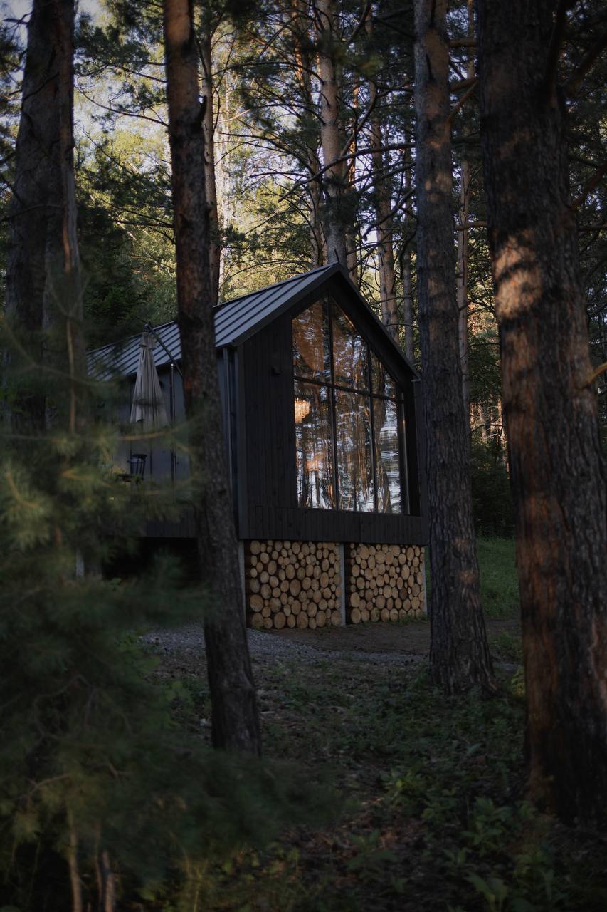 Фото Блэк пайн