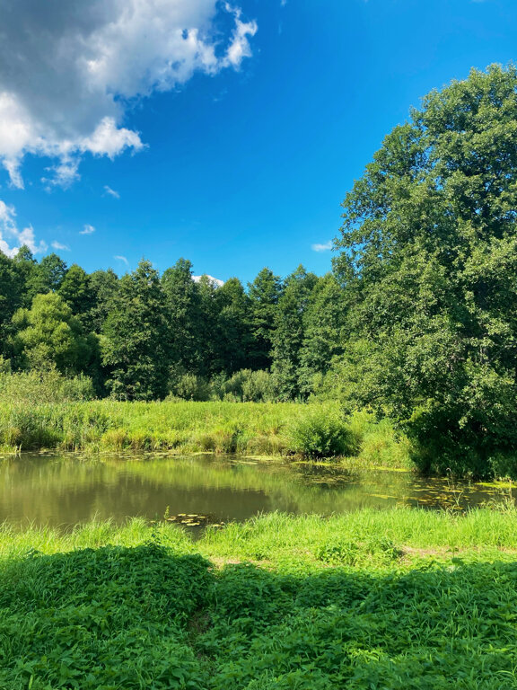 Фото Кедросад