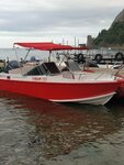 Paradise (посёлок городского типа Новый Свет, улица Льва Голицына, 19), boat tours