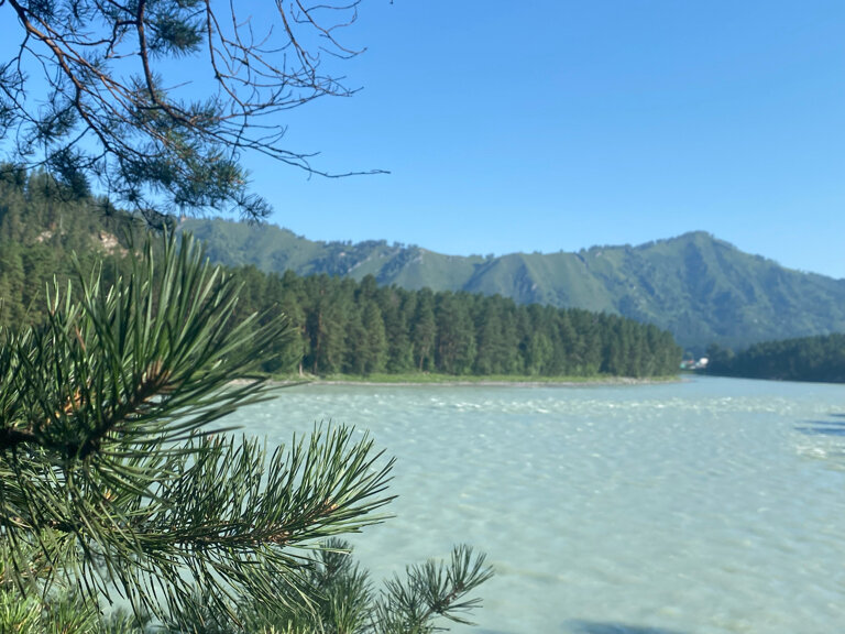 Фото На Алтае